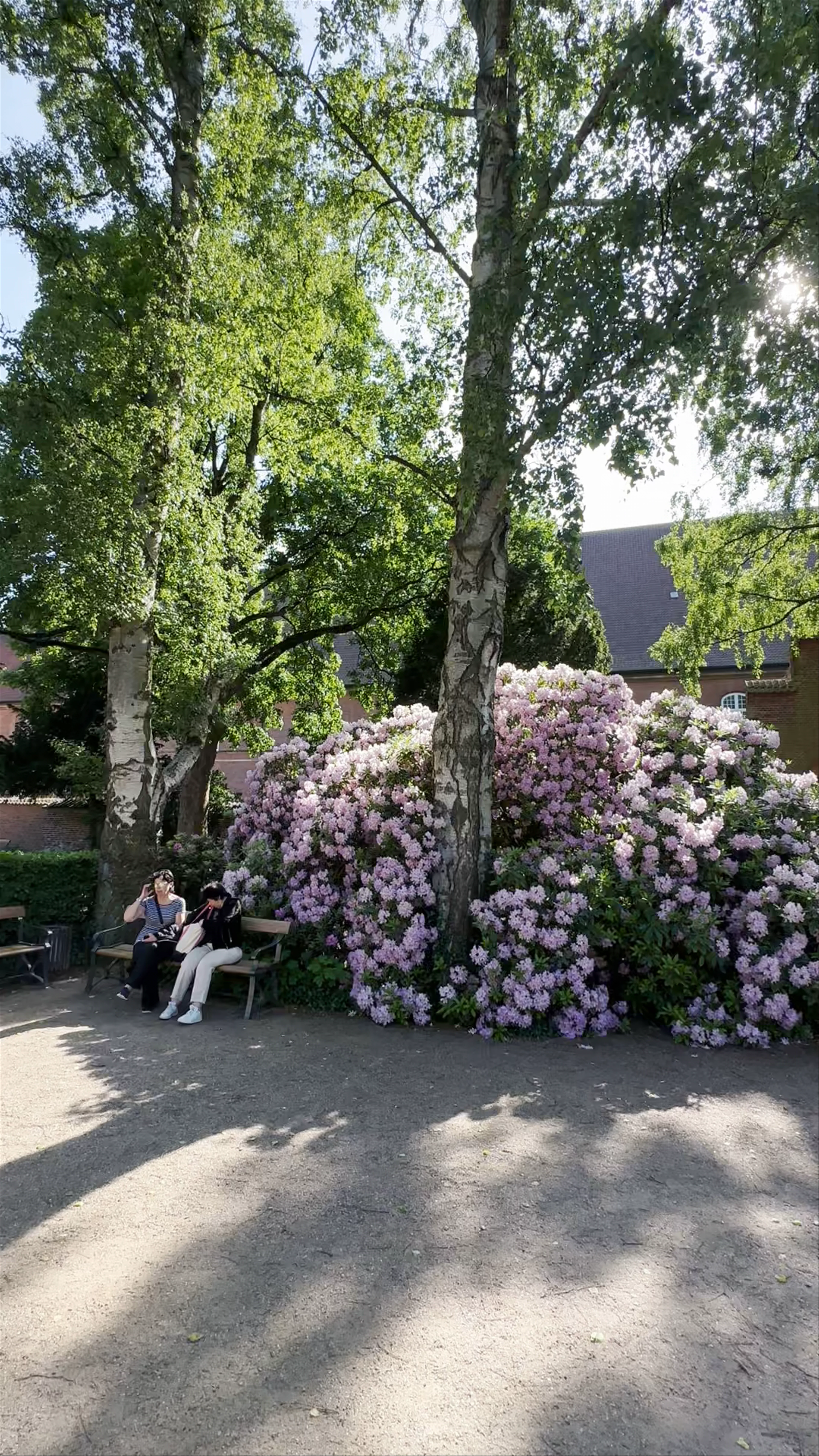 Garden of the Royal Library, Proviantpassagen