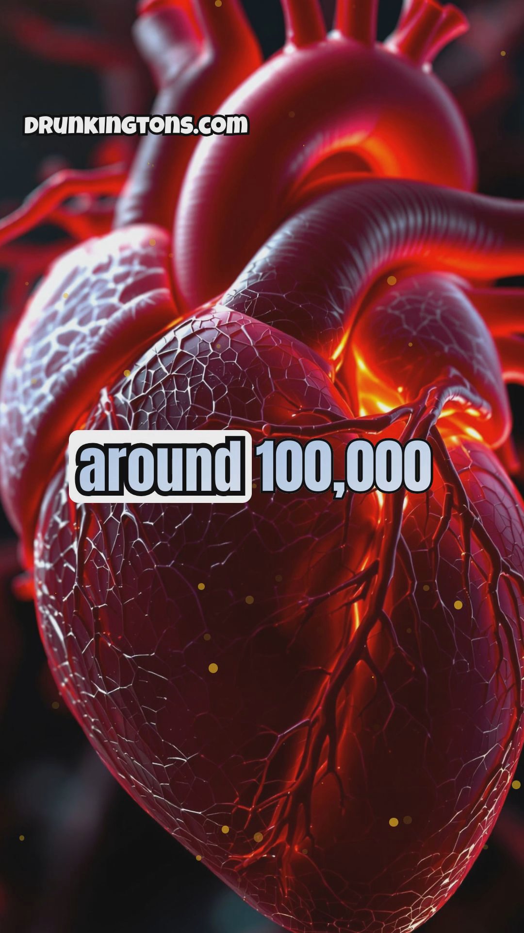 The Wonders of the Human Heart: From Circulation to Heart Transplants