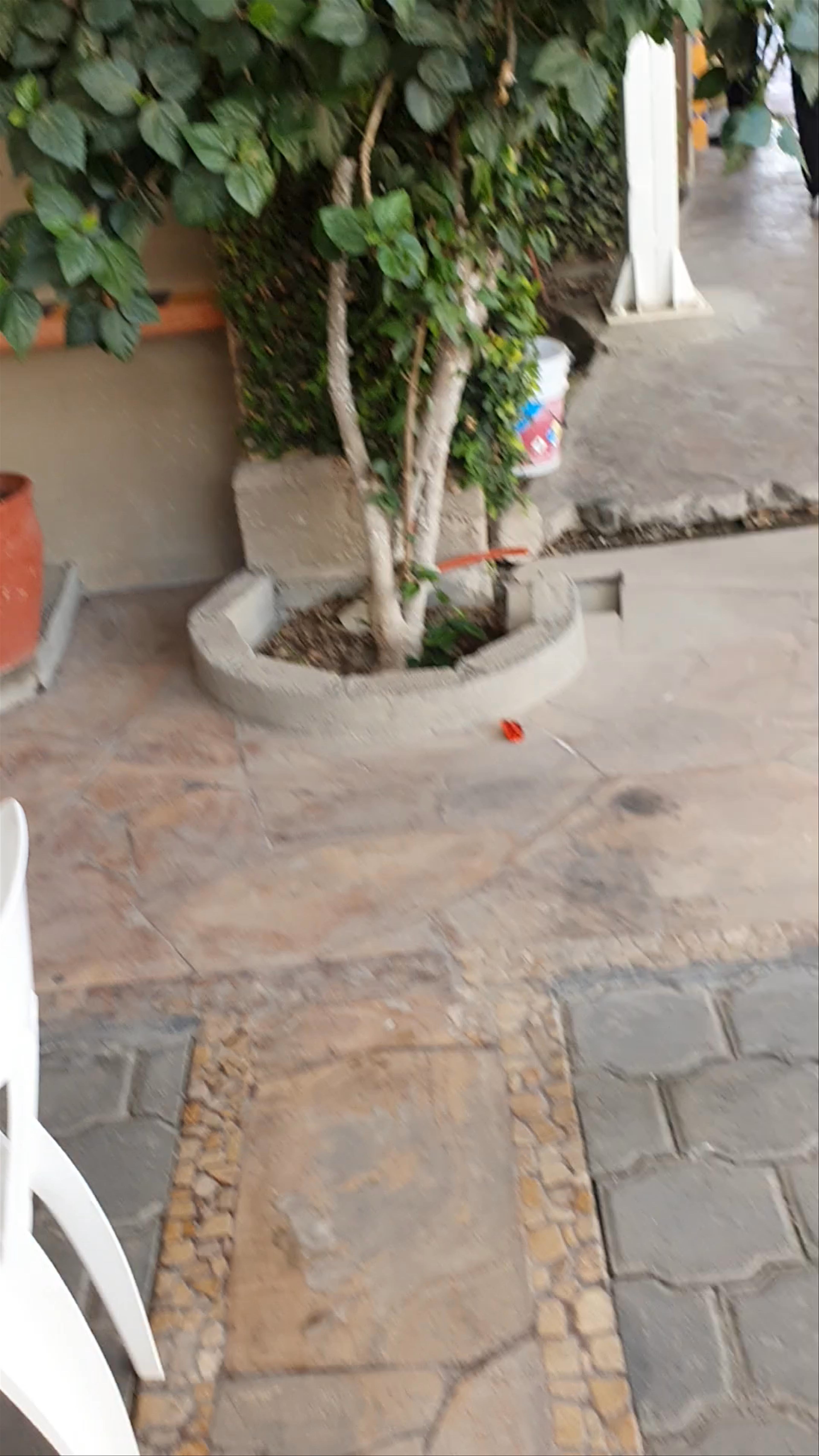 Relaxed Outdoor Dining Ambiance at Restaurante / Hotel Donaji, Oaxaca