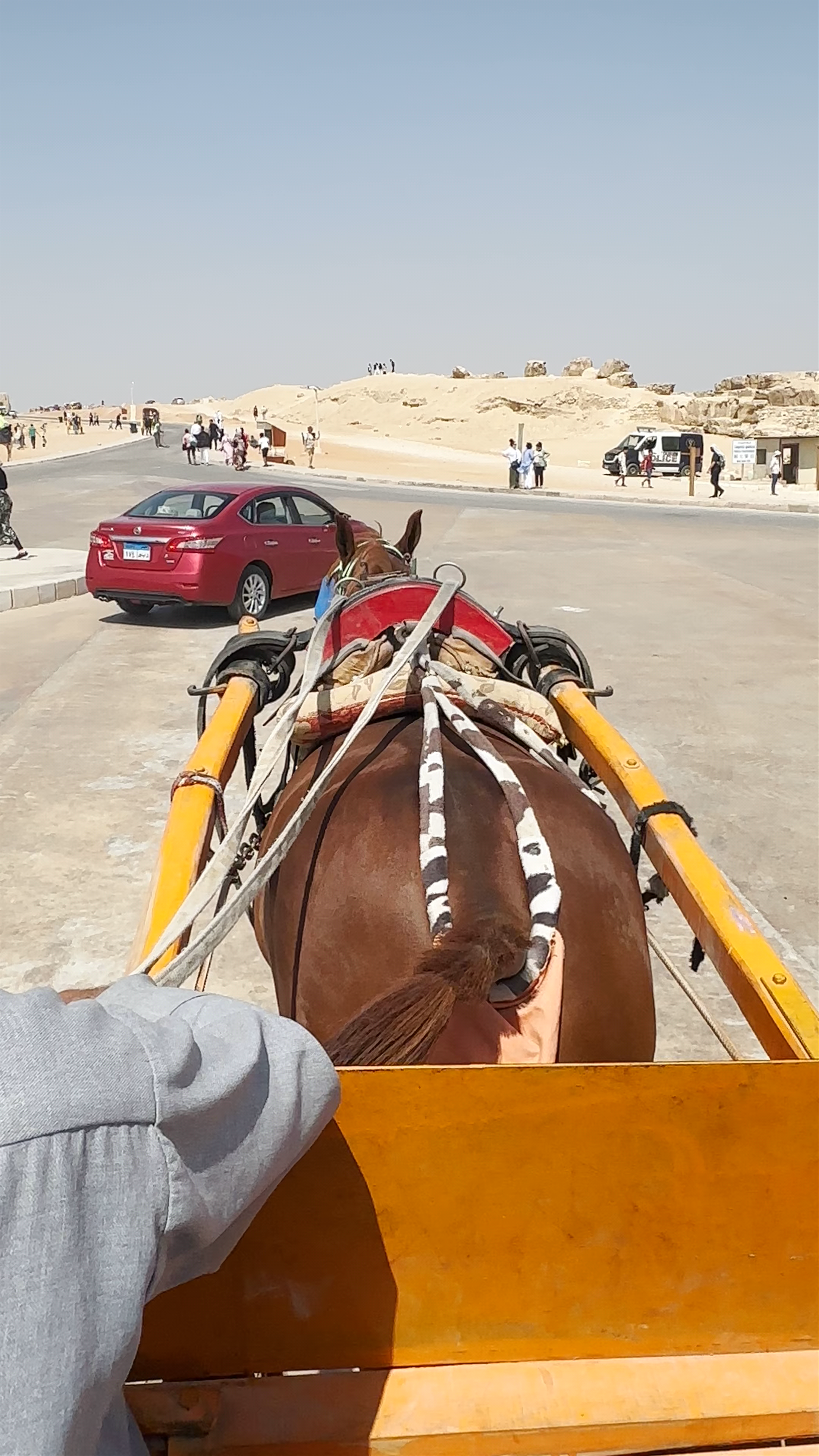 Horse-Drawn Carriage Ride at the Pyramids of Giza