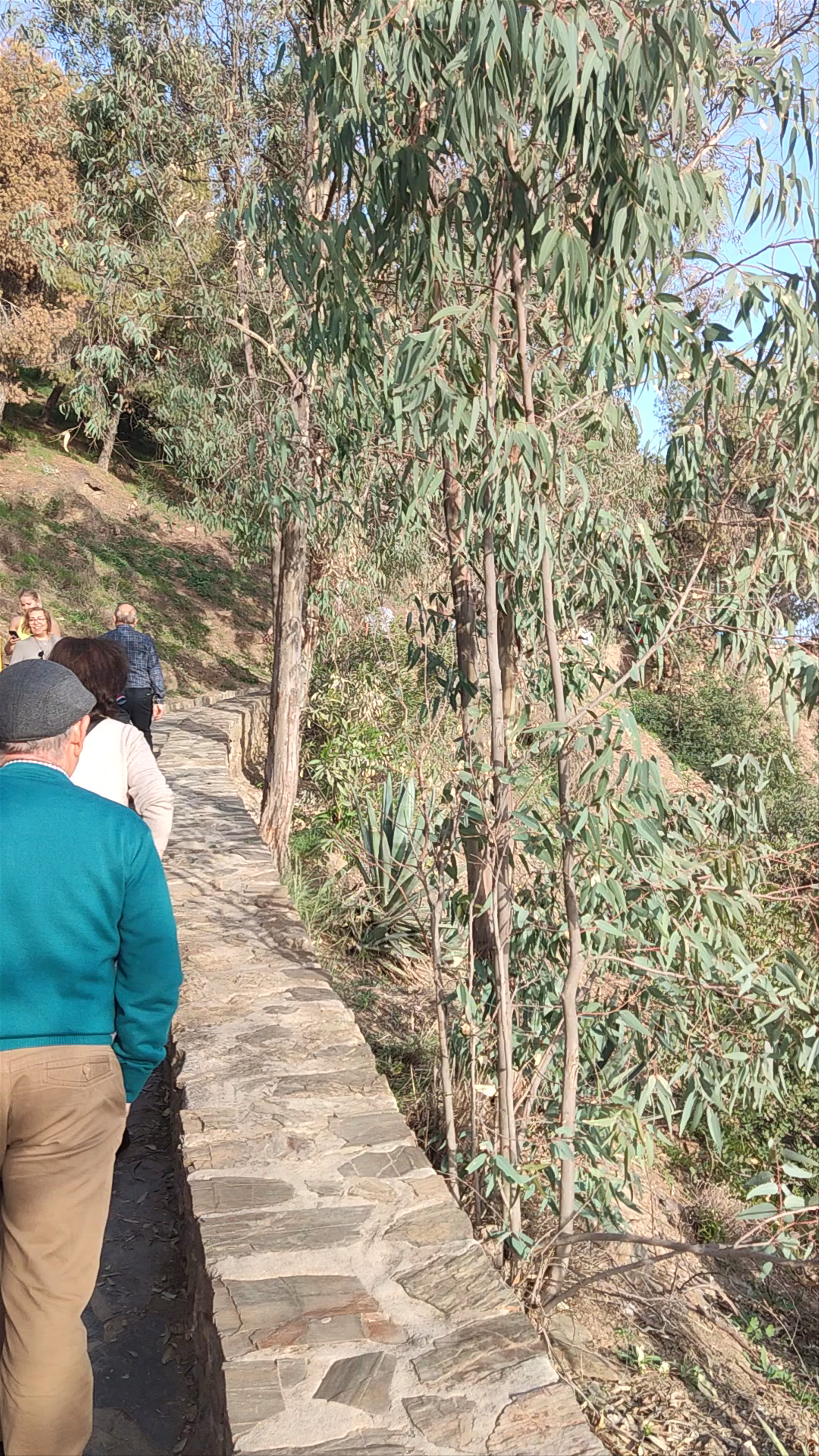 Mirador de Gibralfaro