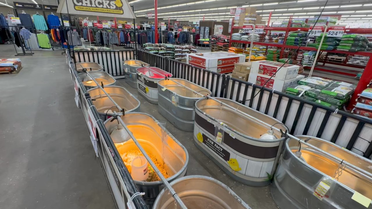 Rural King - Home & Garden Near Me - Leesburg, Florida