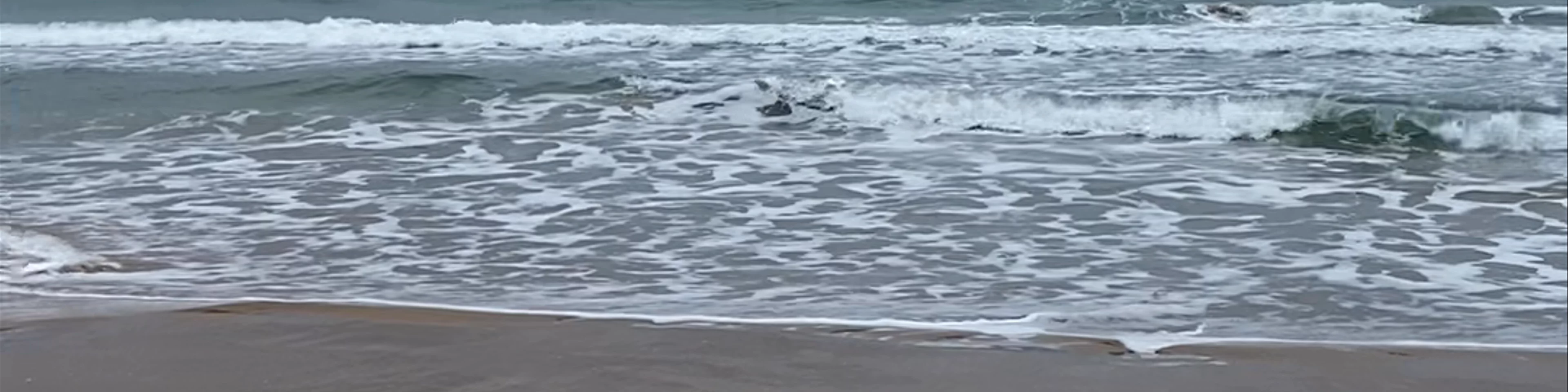 Playa de Gandía