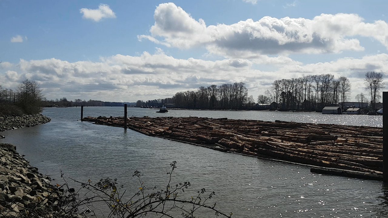 Riverfront Park - Parks Near Me - Vancouver, British Columbia