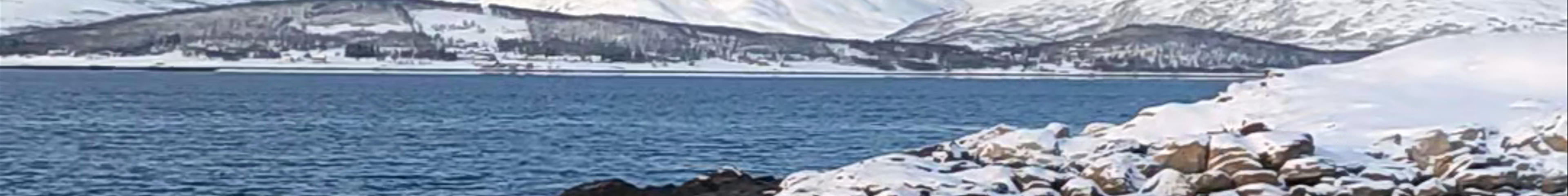 Tours & experiences in Tromsø