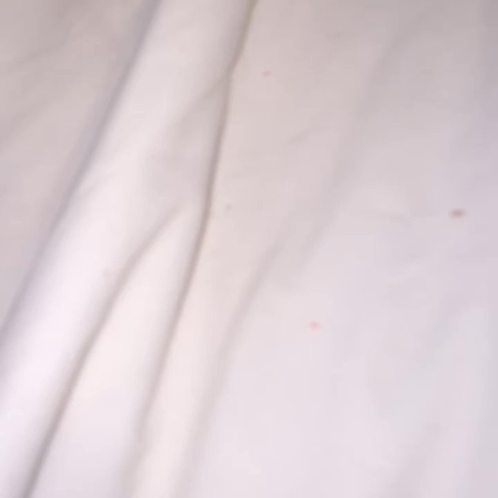 Roosevelt Resort Park - Bed bugs in room 10 - RV Parks Near Me - Roosevelt, Arizona