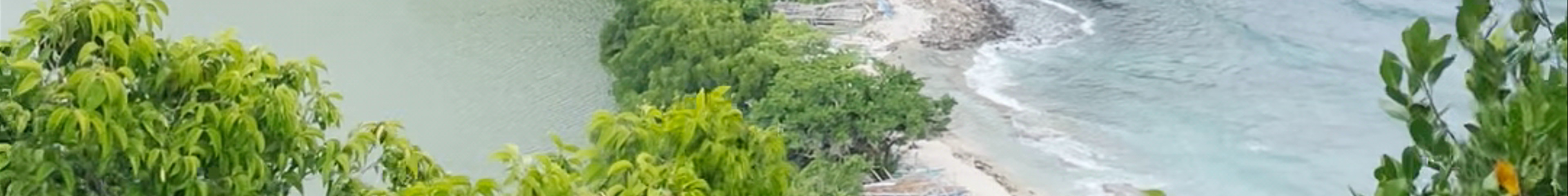 Tours & experiences in Dumaguete