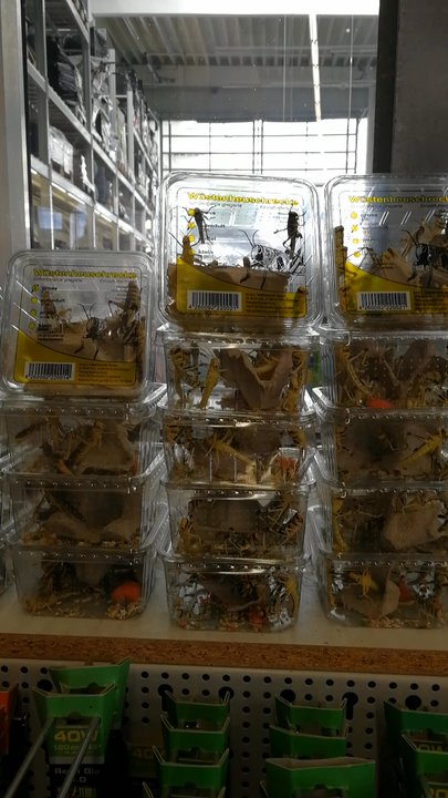 HELLWEG Die Profi-Baumärkte - Hardware Stores Near Me - Berlin, BE