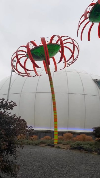 Sonic Bloom - Public Art Near Me - Seattle, Washington