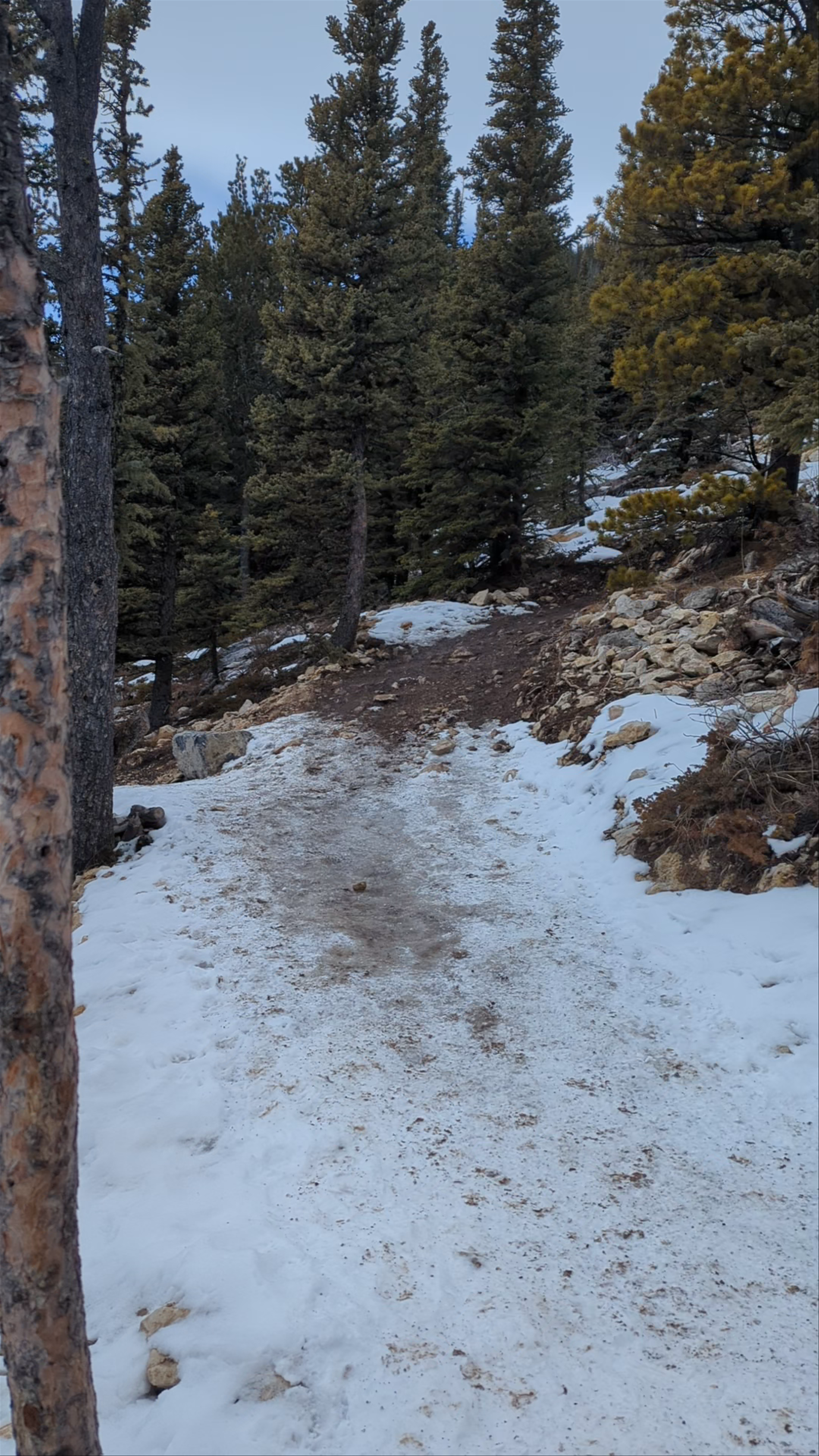 Powderface Ridge Trailhead