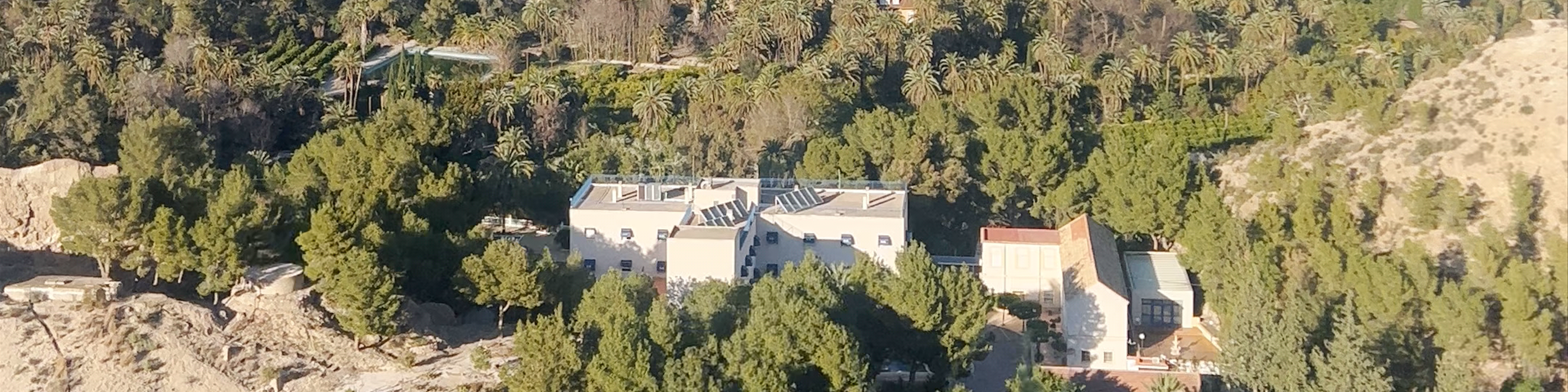 Archena