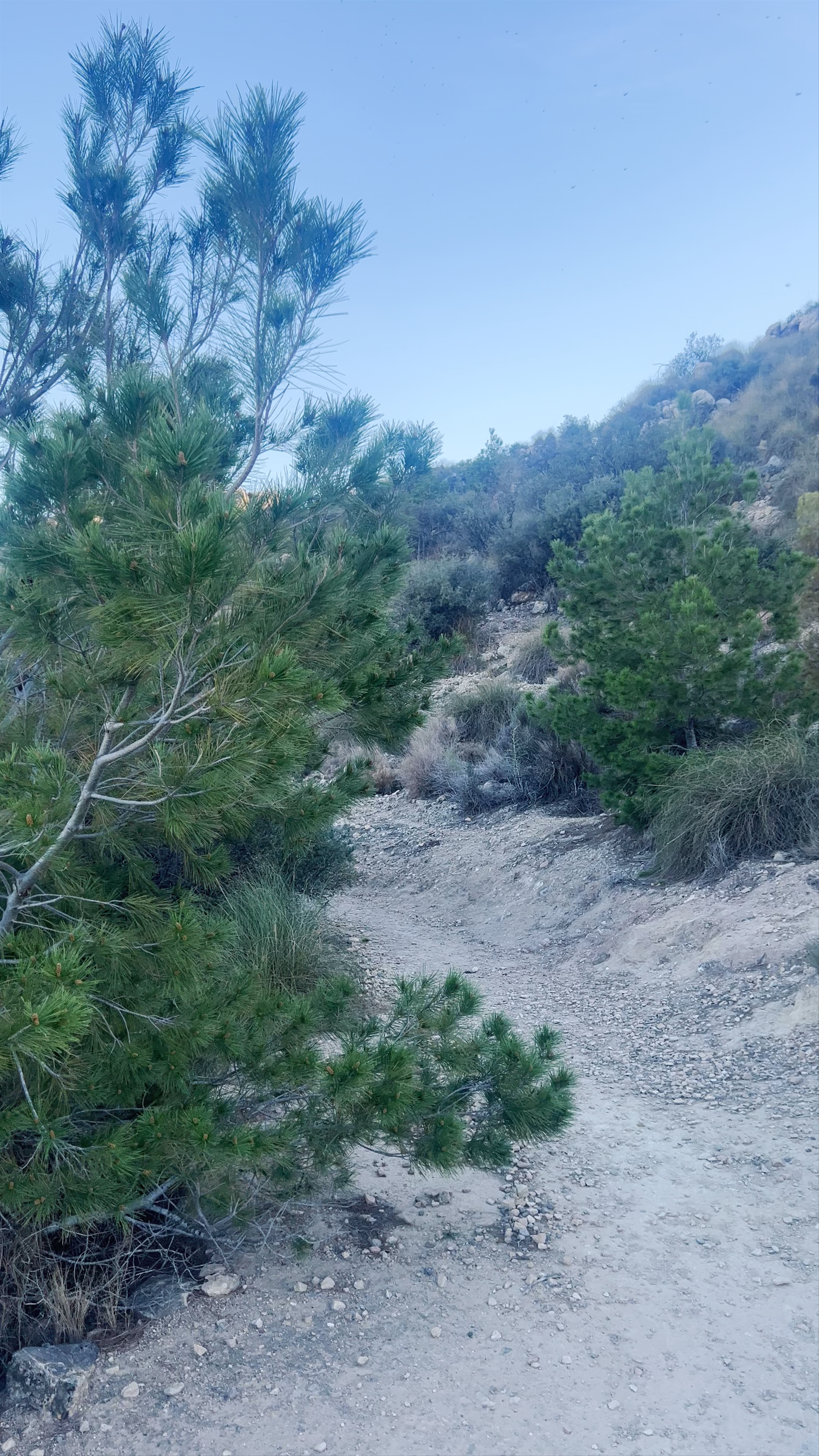 El Ope - Mirador Norte: Serene Hillside Hiking in Archena, Spain
