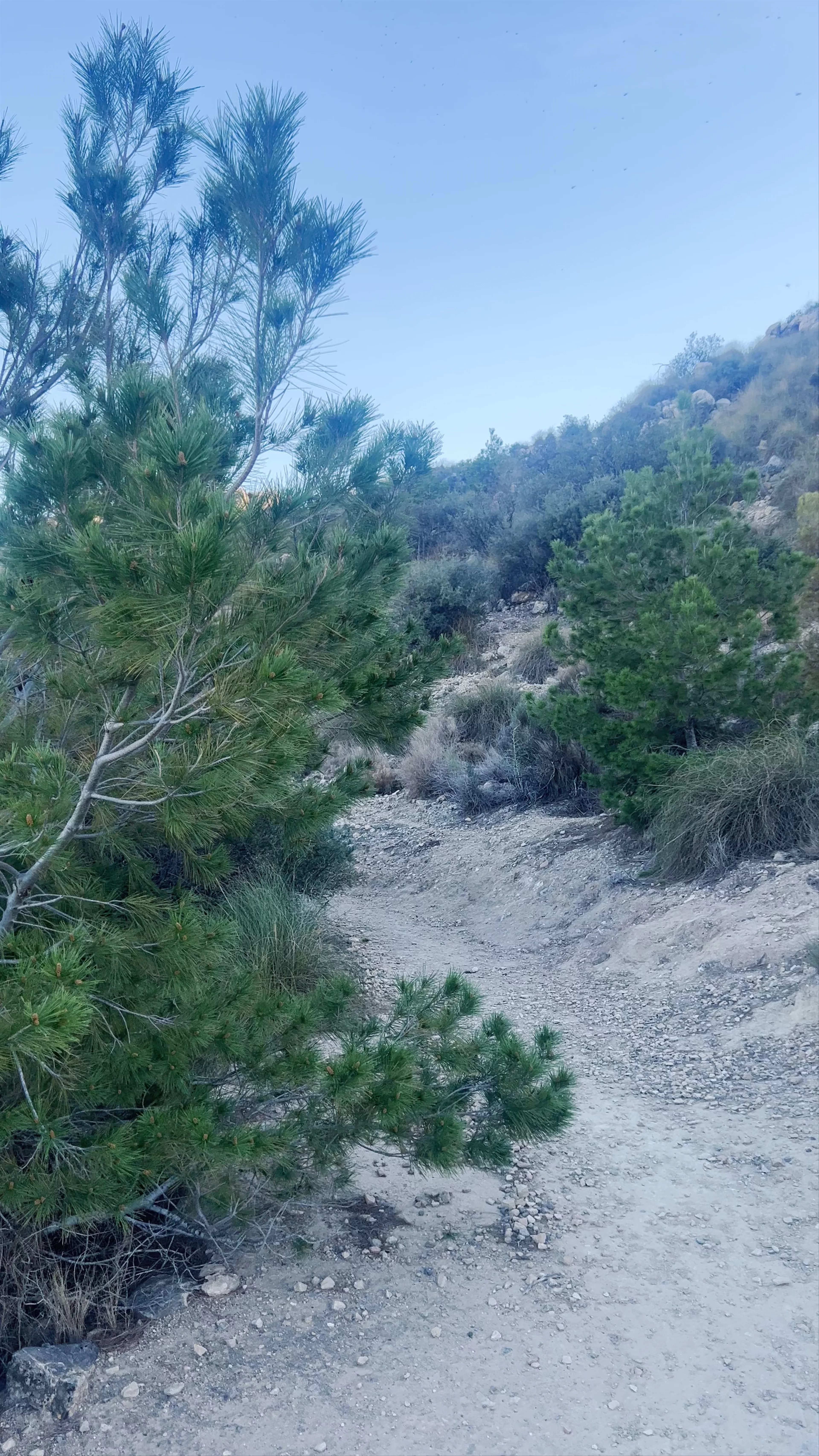 El Ope - Mirador Norte, Archena, Spain