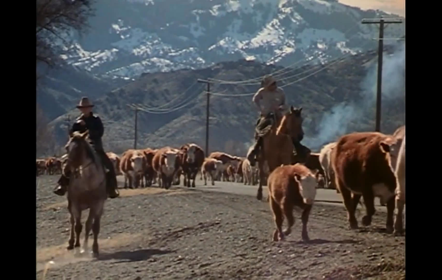 Cowboys on horseback guide a large cattle herd along a road, with mountain landscapes and a range map establishing the grazing territory. As ranchers move cattle to their spring range, the herd passes through a settled area, marking the end of winter feeding and a welcome seasonal transition.