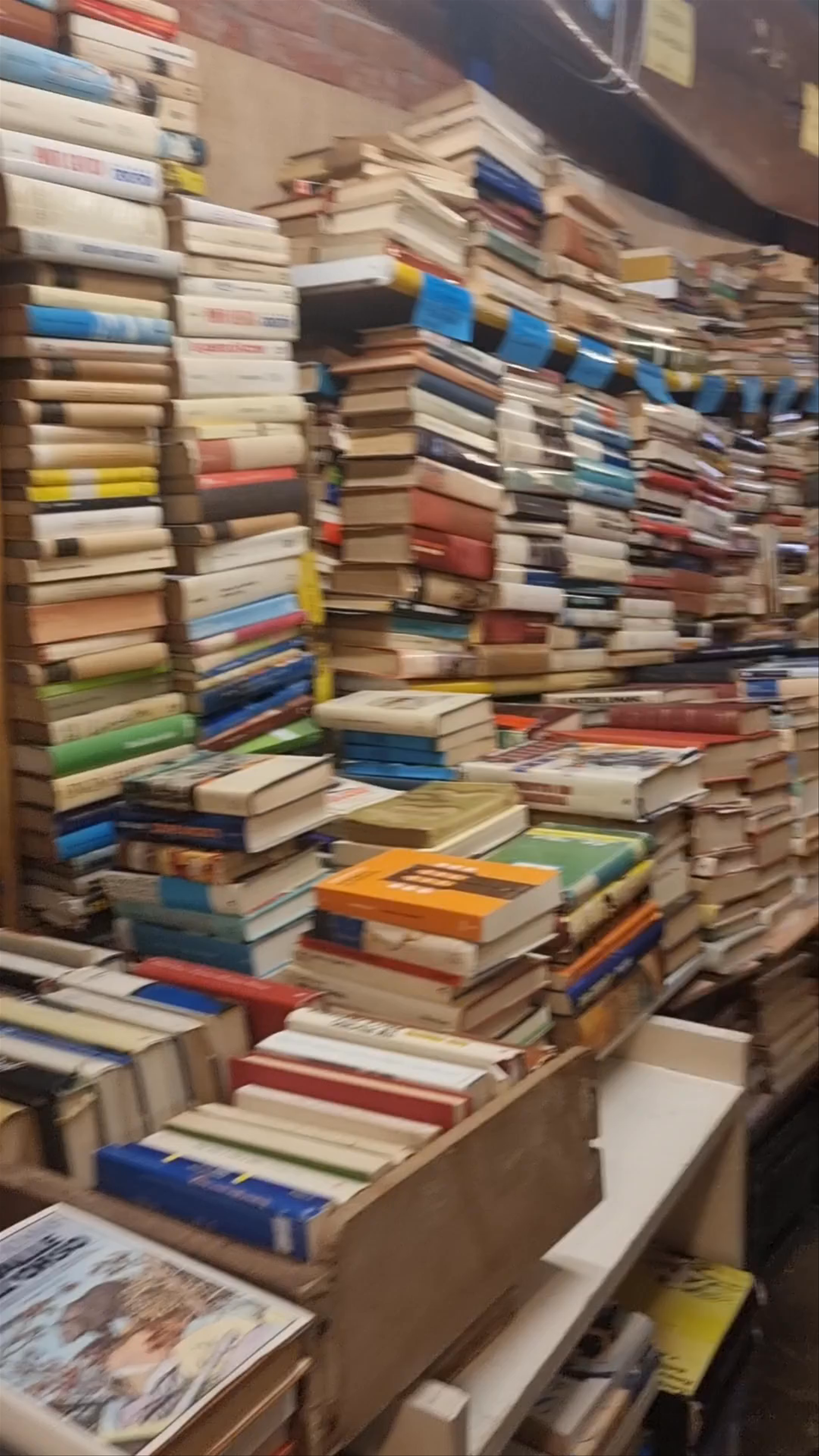 Libreria Acqua Alta: Venice’s Enchanting Bookstore Wonderland