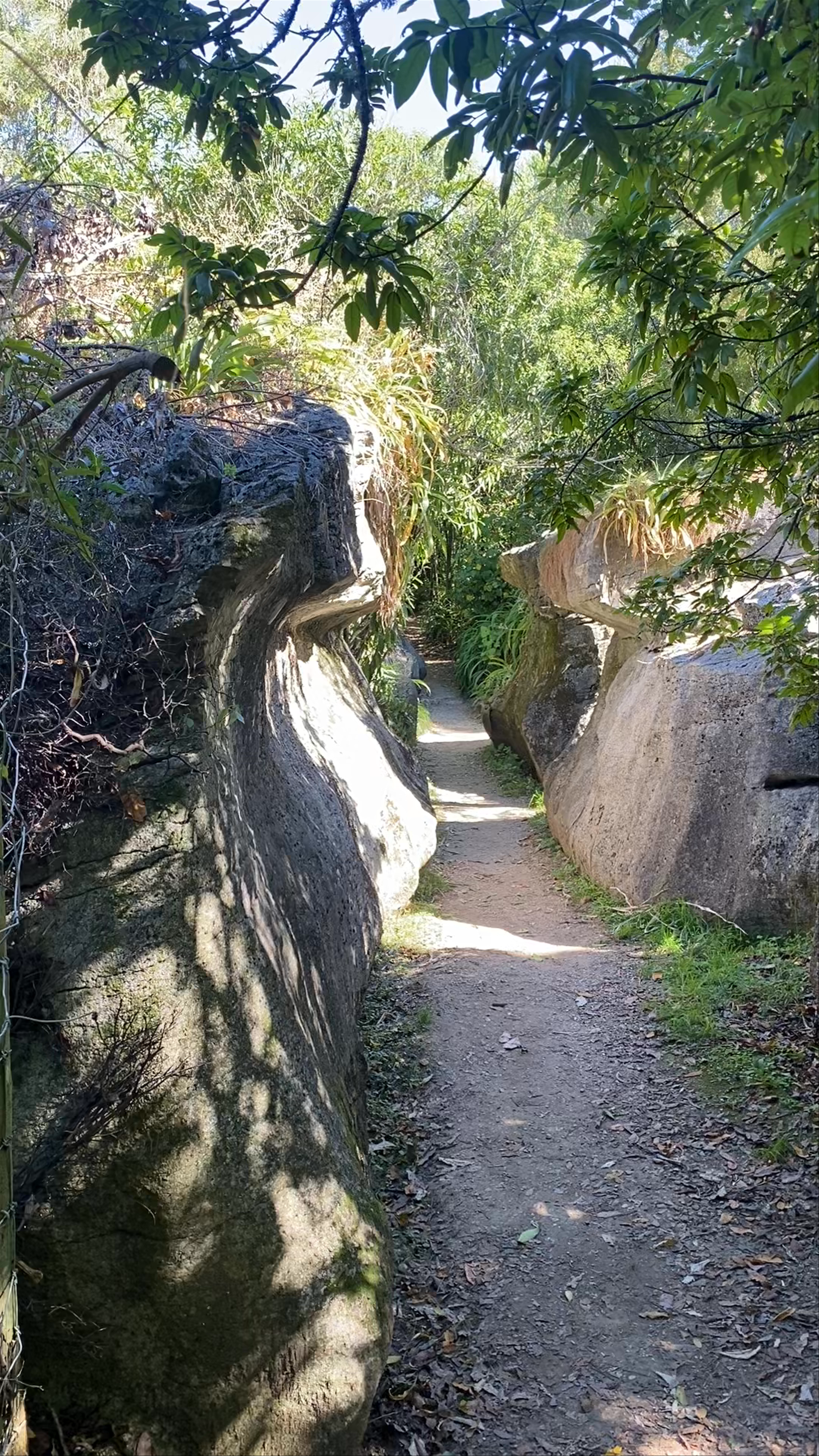 Labyrinth Rocks Scott Road