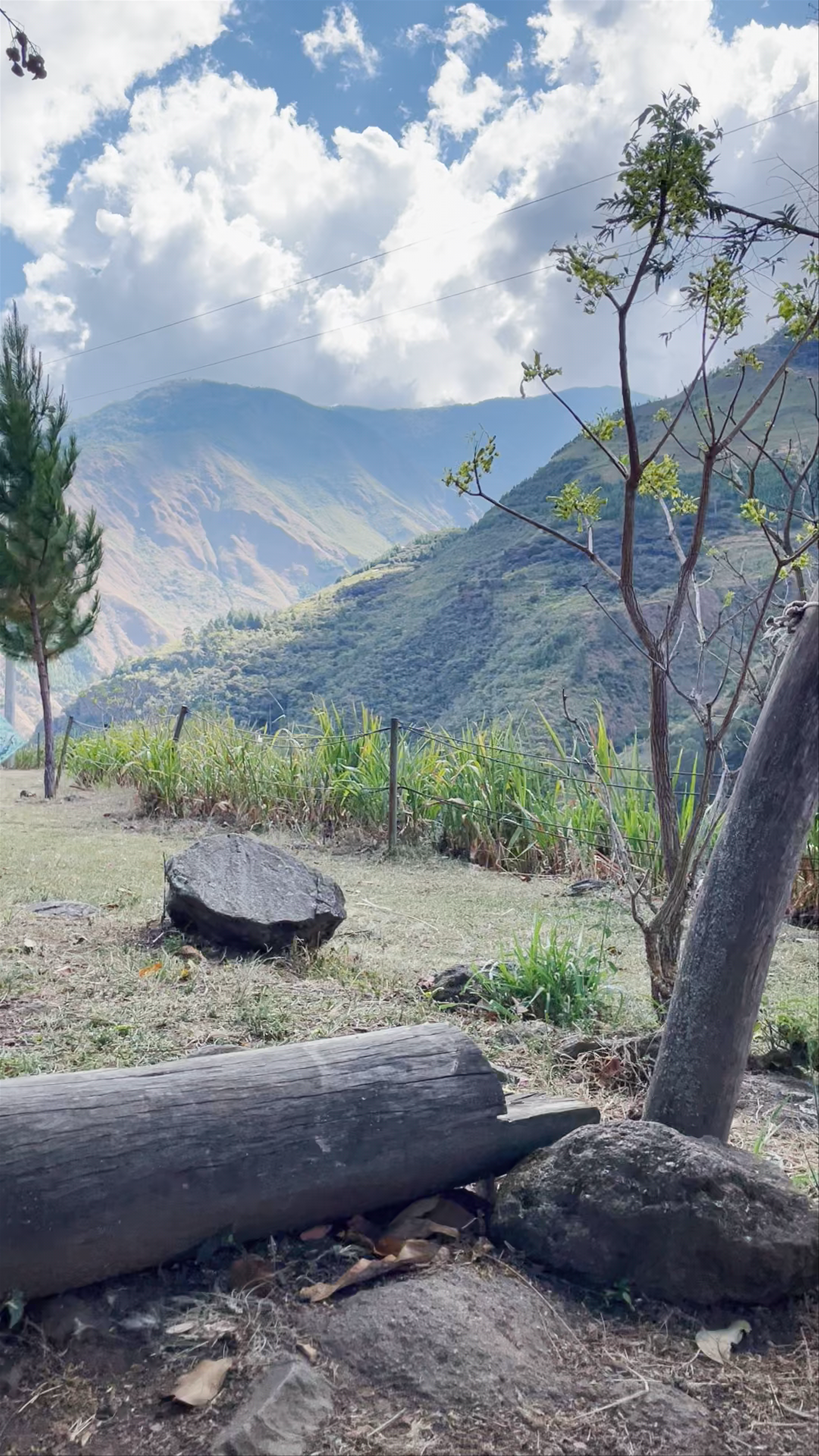 Vertikal Zipline & Lodge