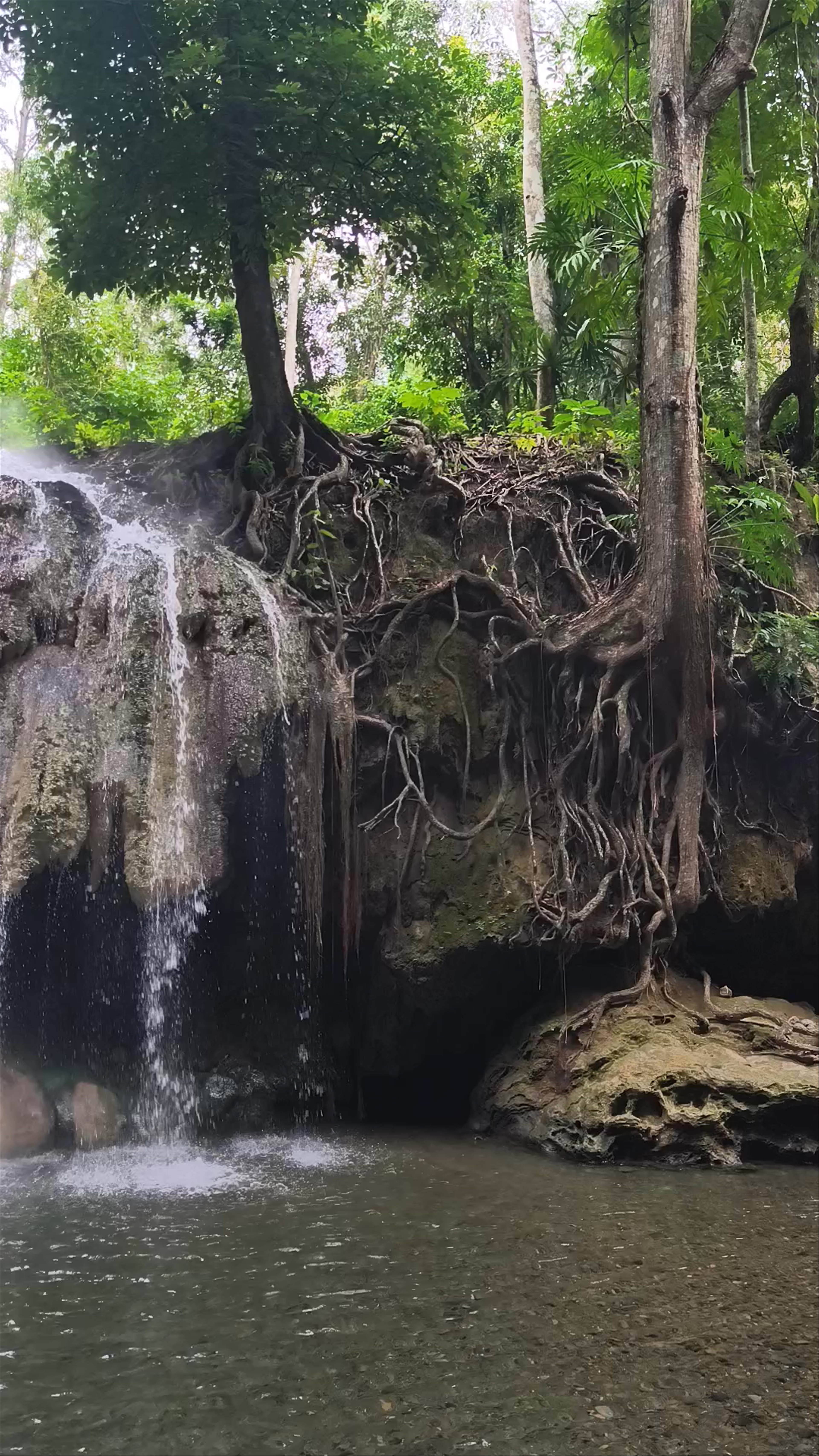 Cataratas - Finca El Paraíso