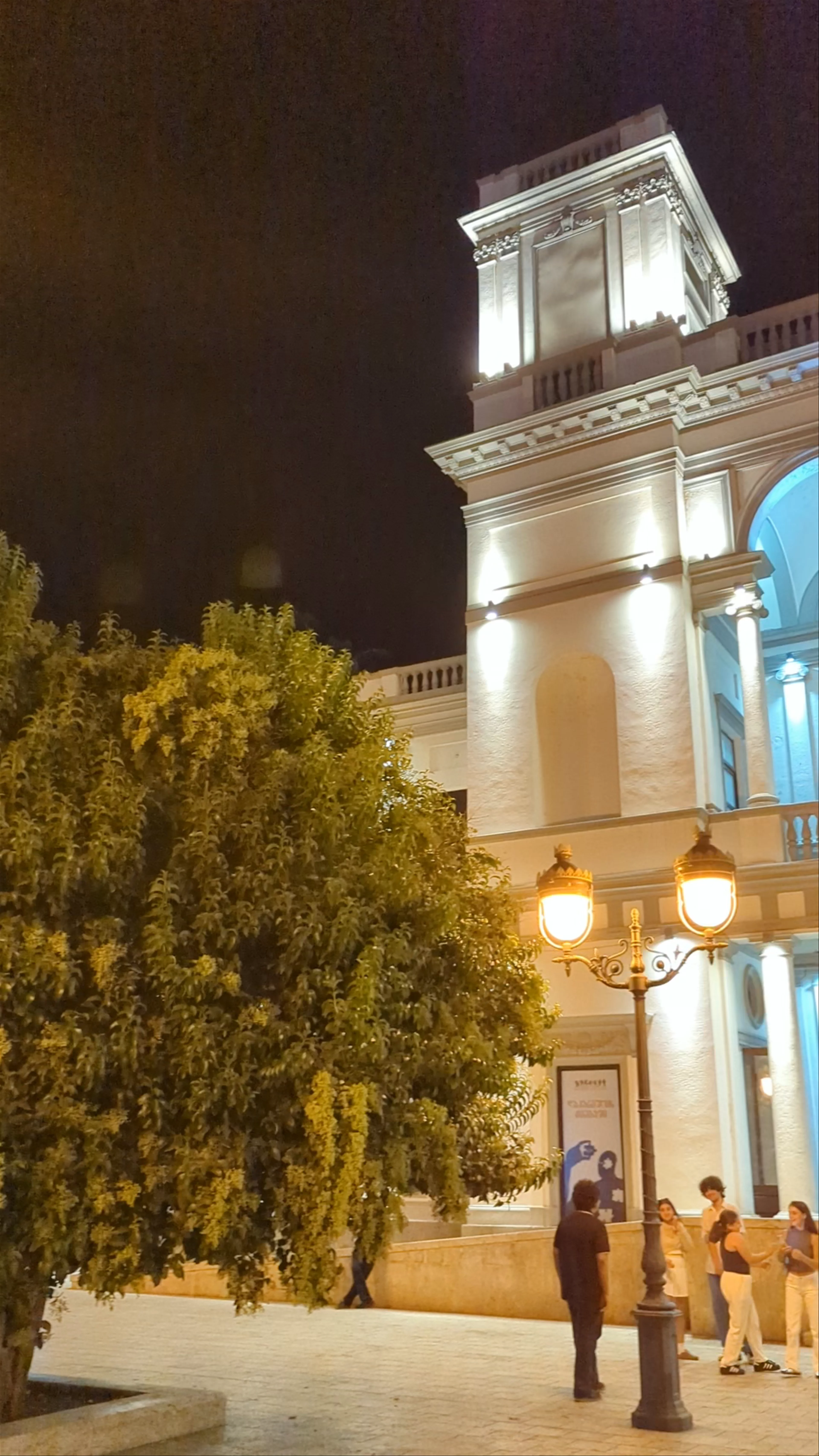 Vaso Abashidze State New Theatre, Davit Aghmashenebeli Avenue
