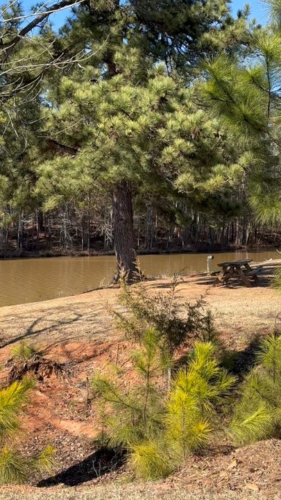 Lake Thicketty - Overview of Lake Thickety! - Lakes Near Me - Gaffney, South Carolina