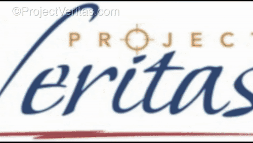 Video Thumbnail Loop