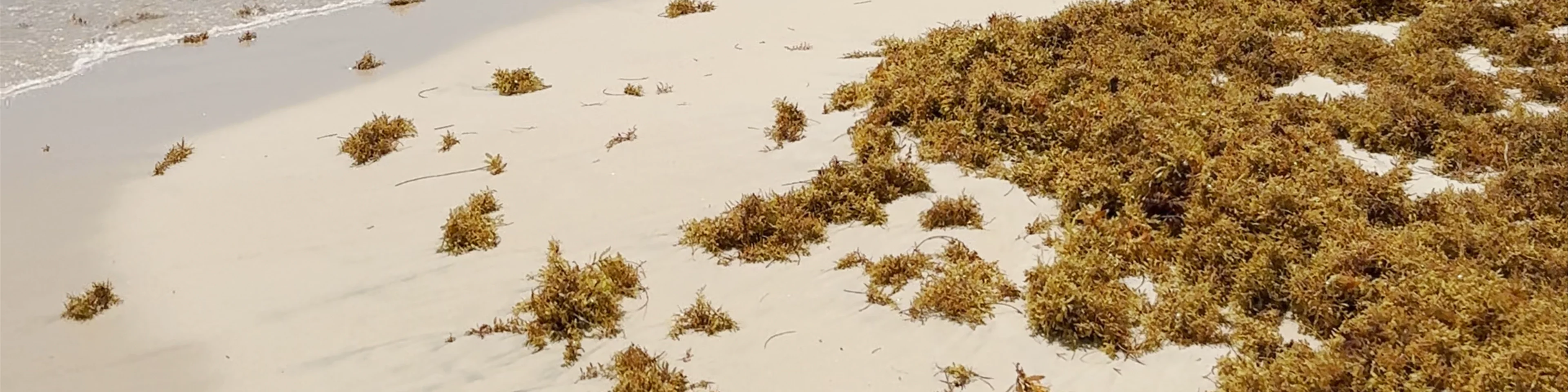 Plage des Salines