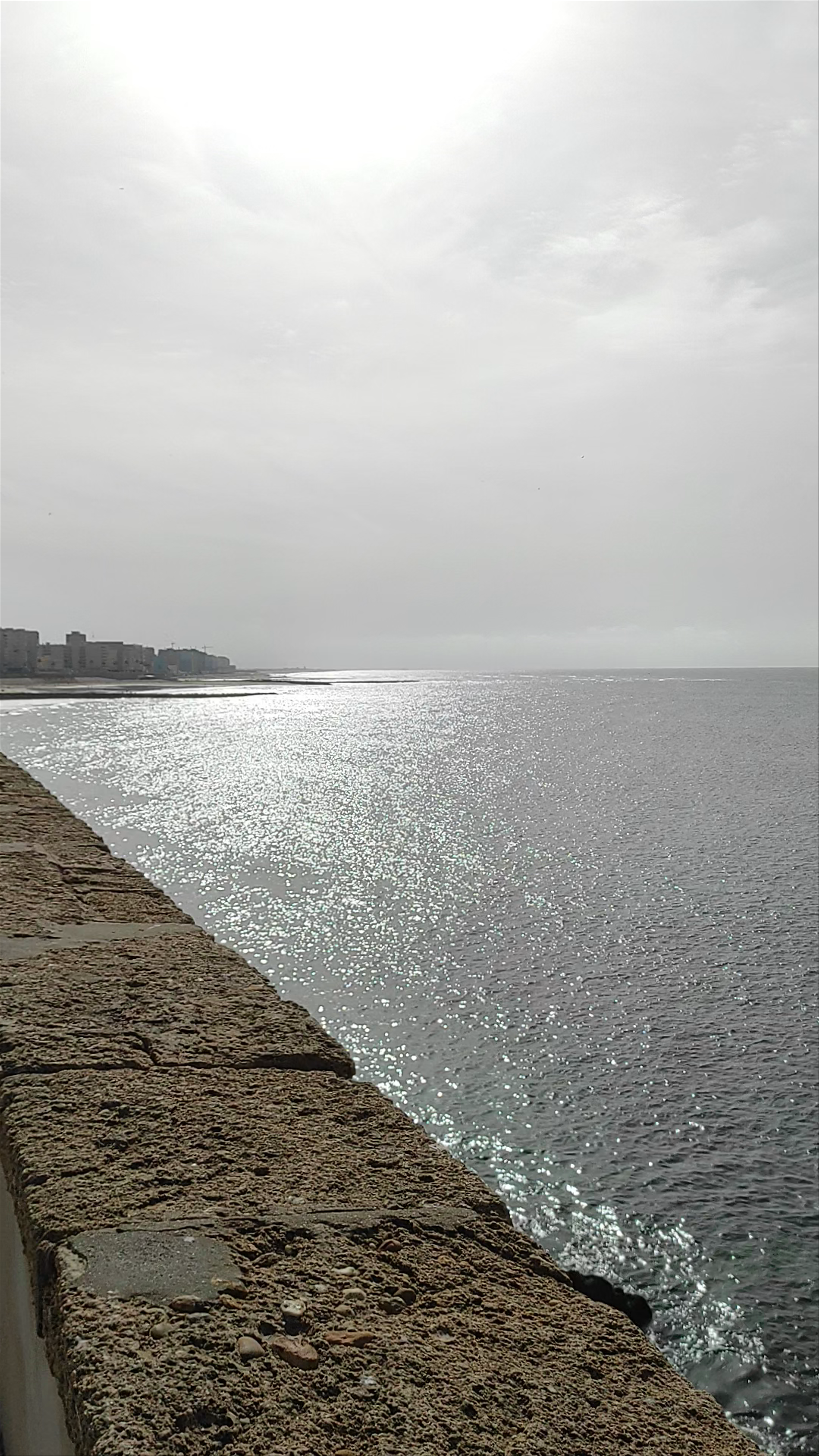Bay of Cádiz Natural Park