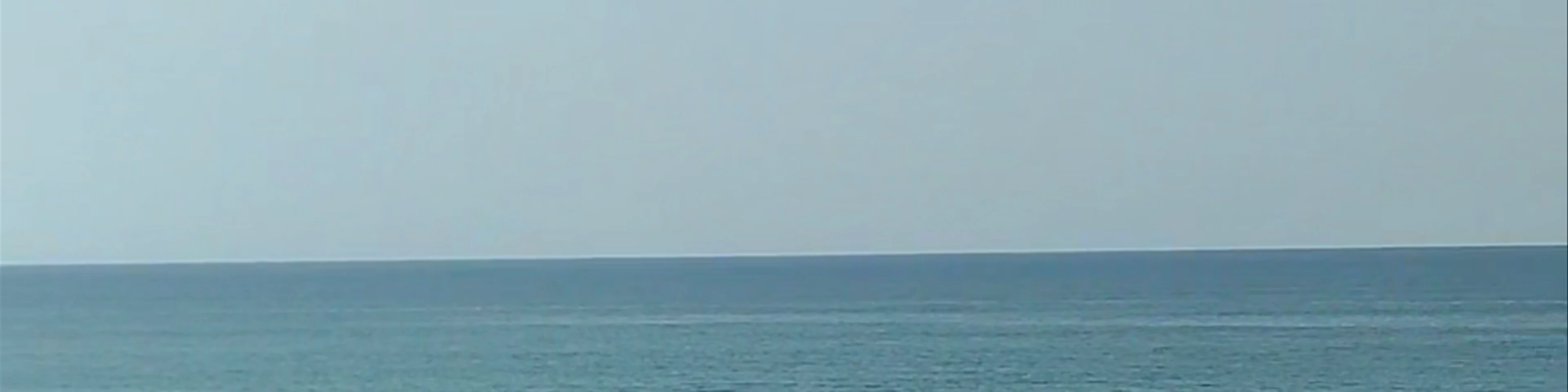 Bay of Cádiz Natural Park