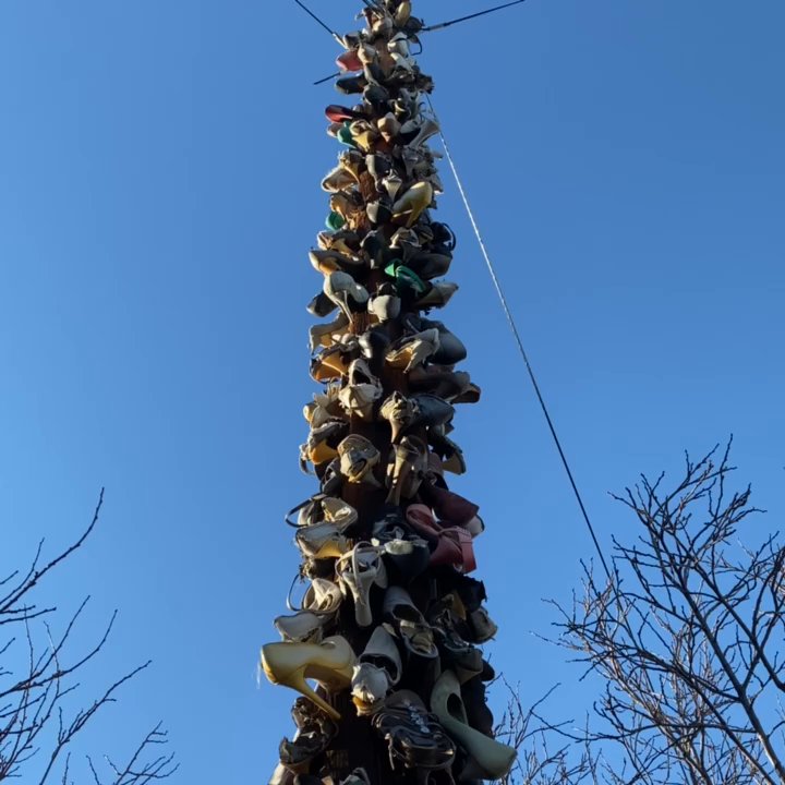 Shoe Tree - The Shoe Tree! An abstract beauty! - Local Flavor Near Me - Albuquerque, New Mexico
