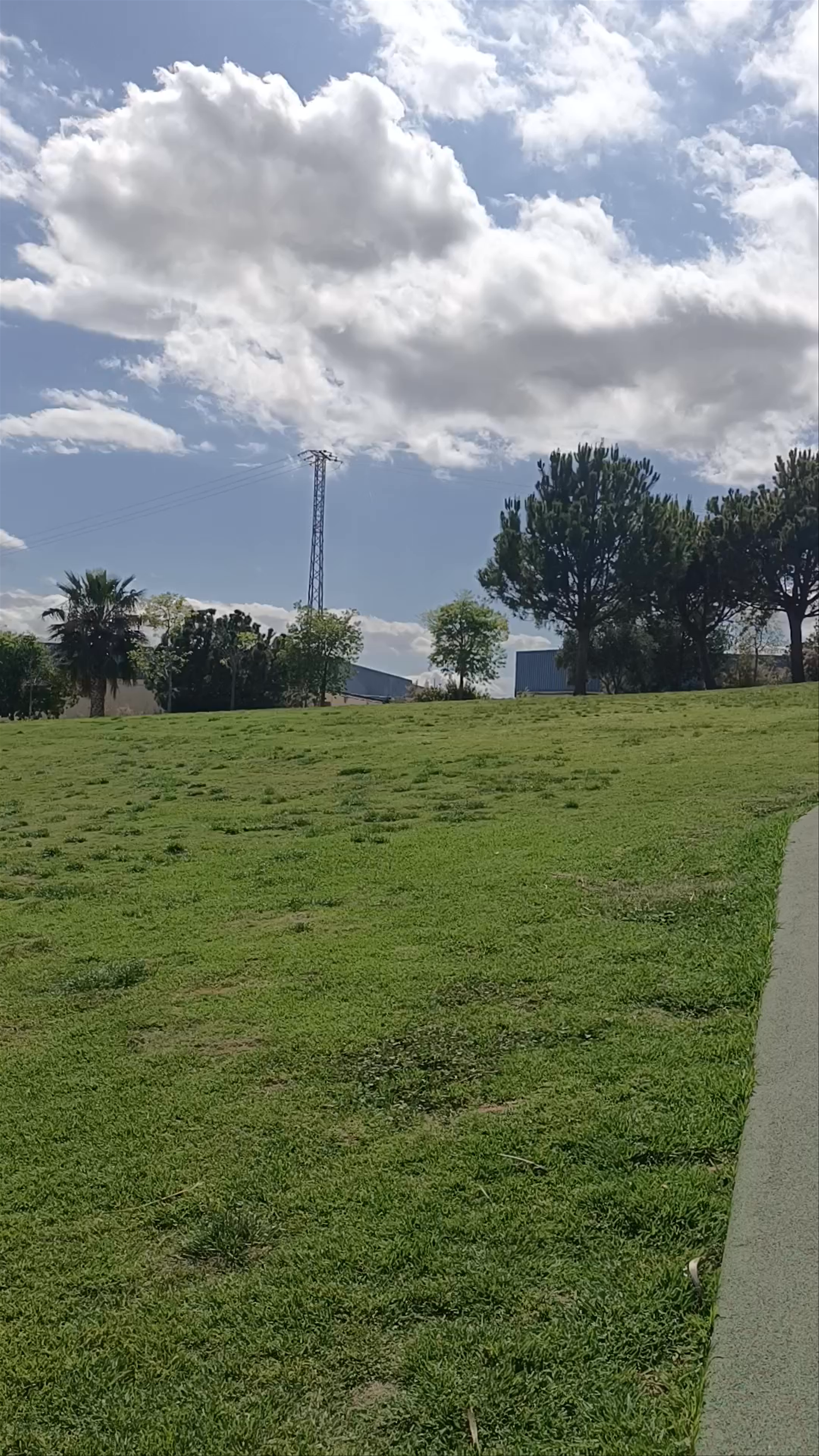 Parque Adolfo Suárez