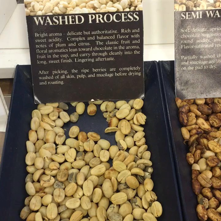 Ka'u Coffee Mill - Learning about the roasting process. - Coffee & Tea Near Me - Pahala, Hawaii