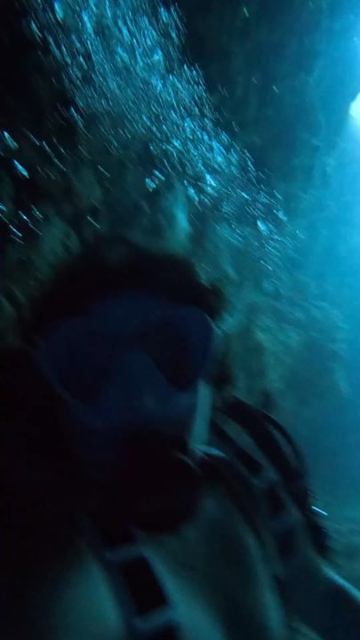 Dive Maui - Scuba Diving Near Me - Lahaina, Hawaii