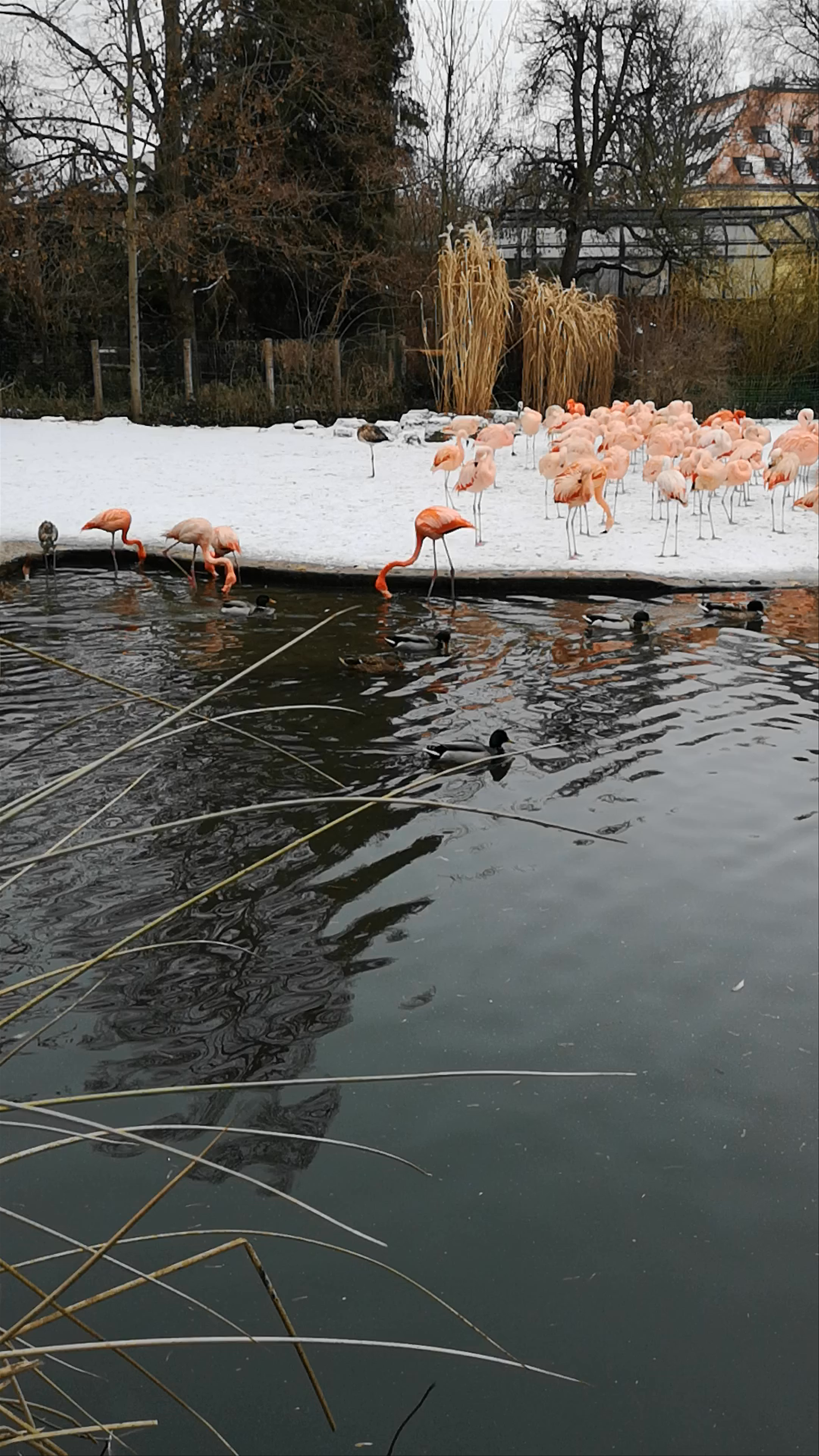 Prague Zoo