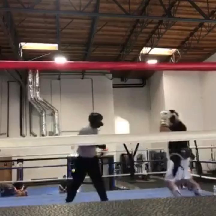 High Performance Training Center - Great sparring training and conditioning - Boxing Near Me - Oceanside, California