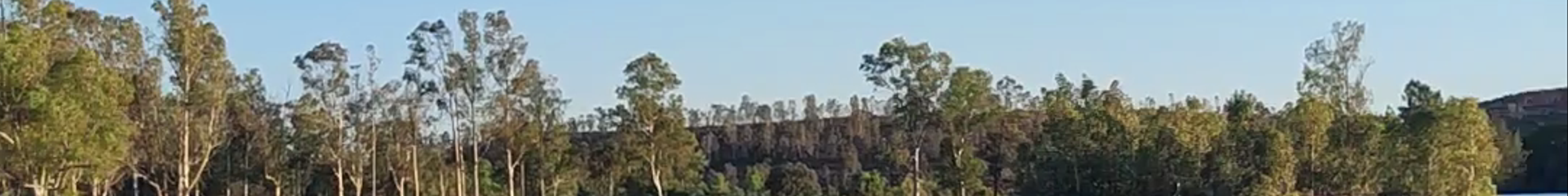Tours & experiences in Minas de São Domingos