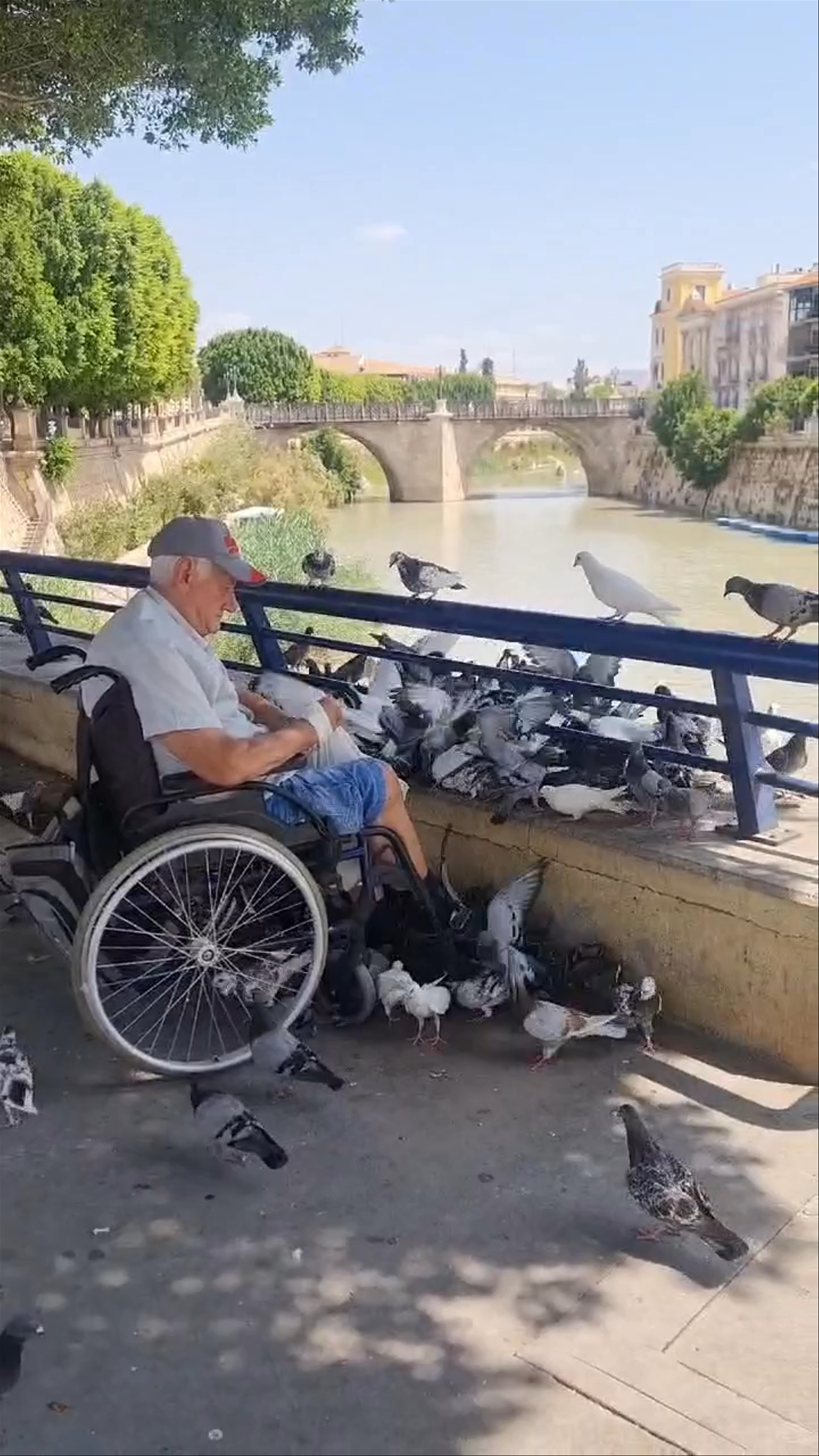 Peaceful Moments at Puente de los Peligros by the River in Murcia