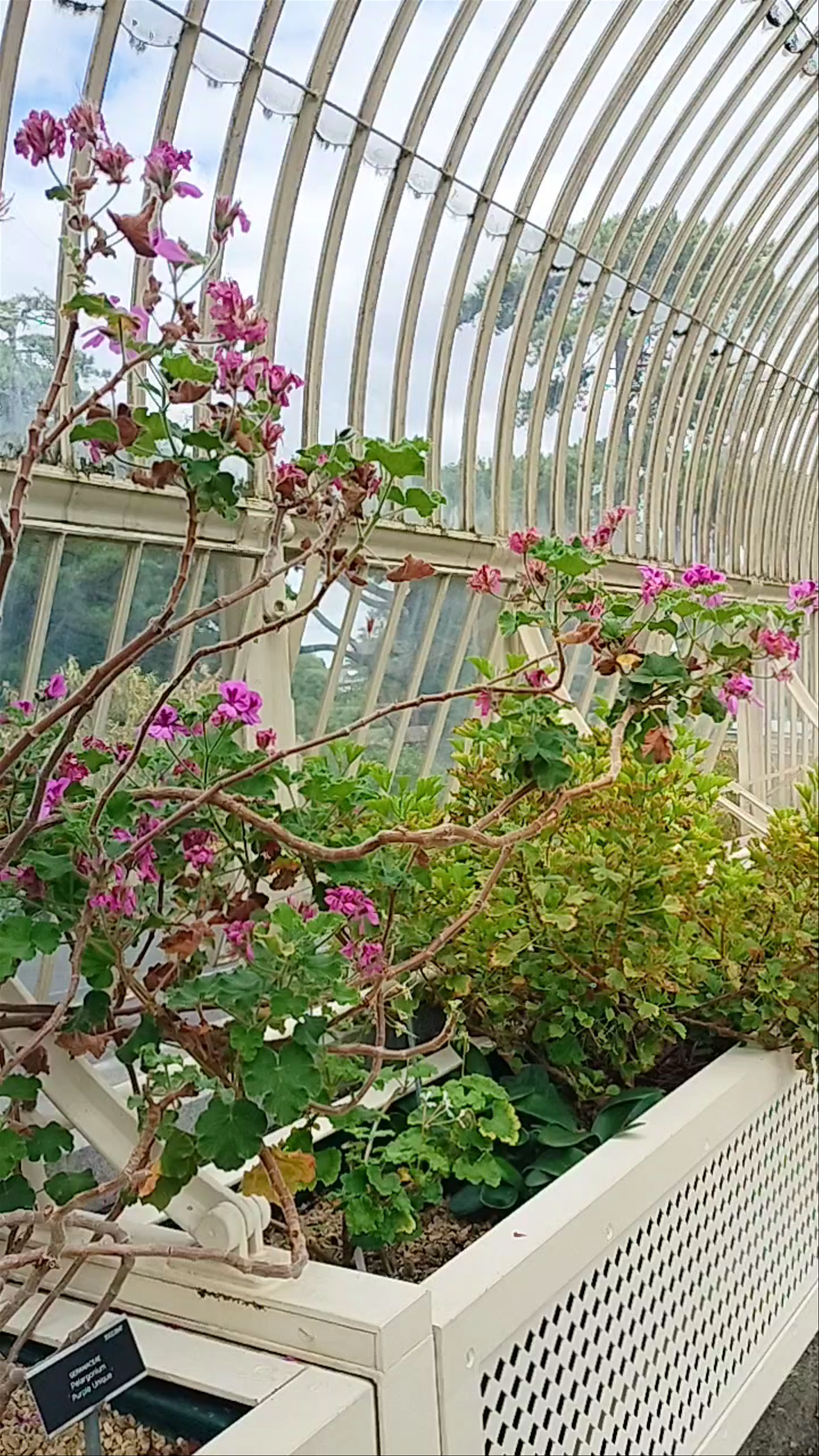 National Botanic Gardens