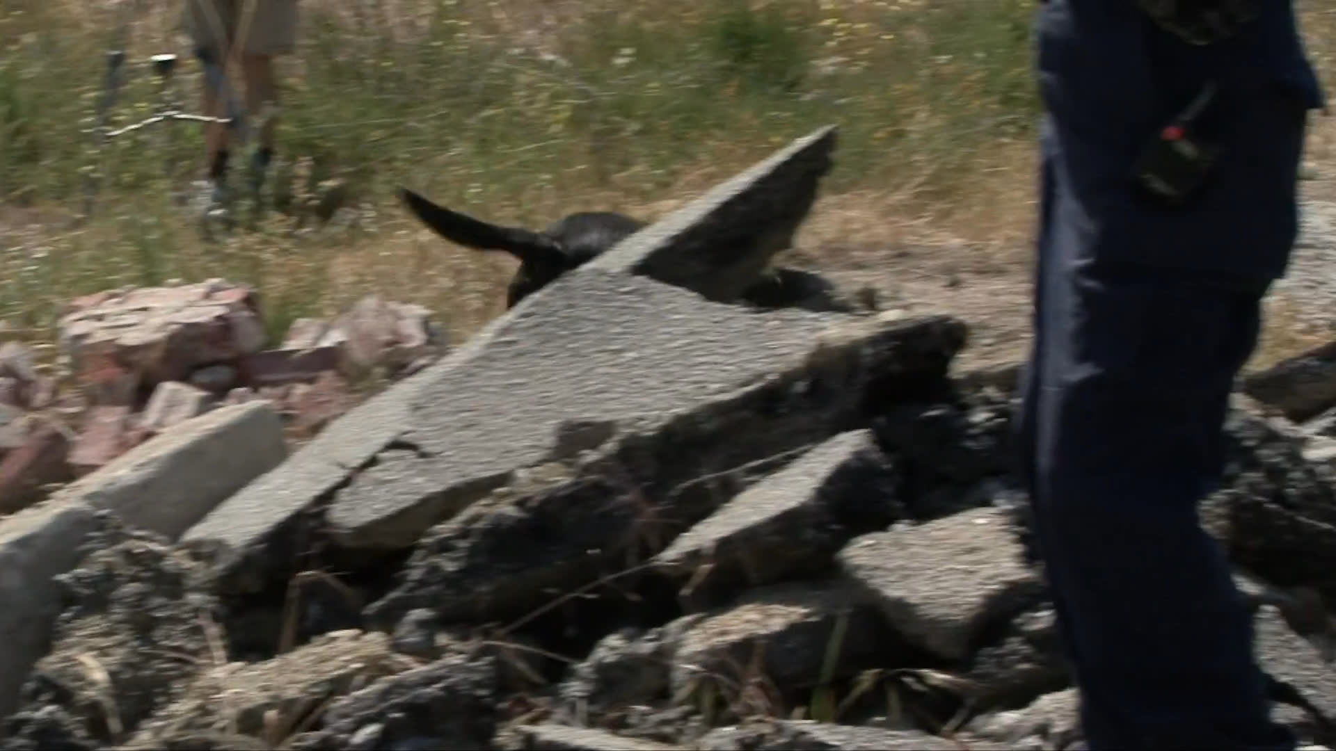A trained search dog traverses a rubble-filled training site to locate simulated targets. The canine works closely with handlers to navigate complex debris environments.