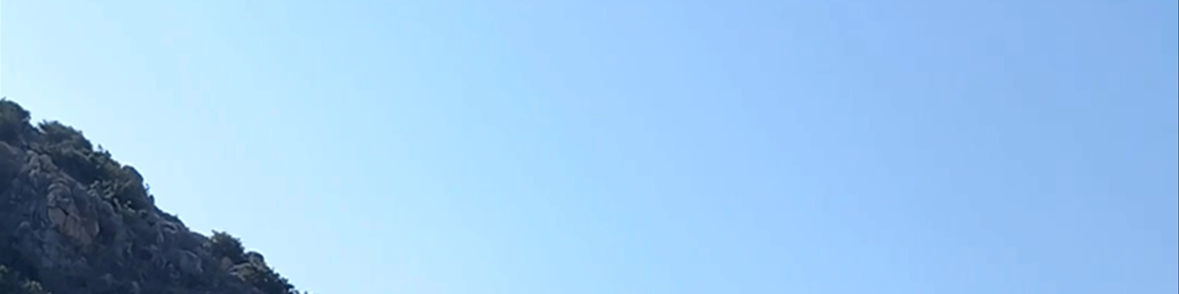 Gelemiş