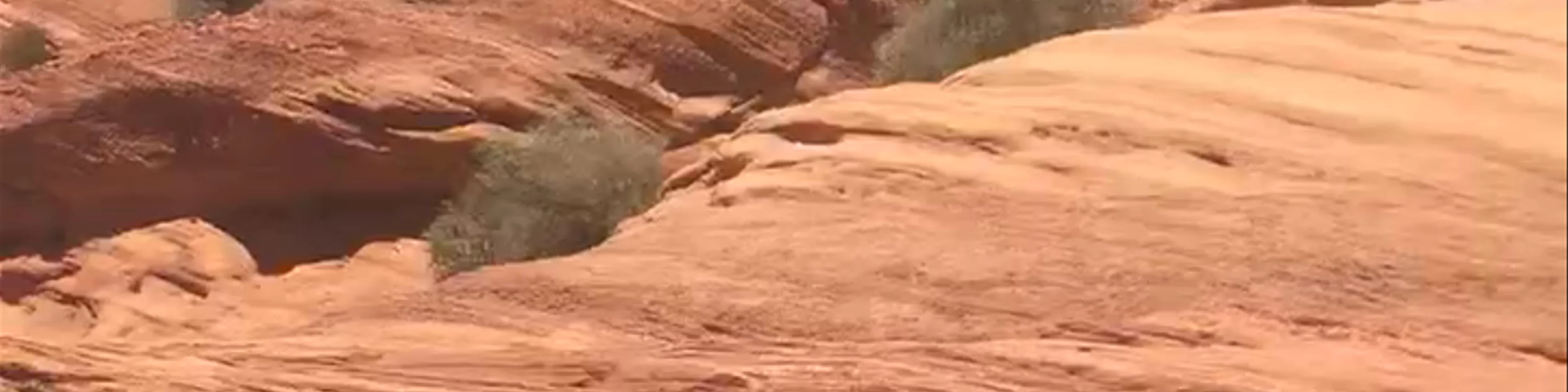 Horseshoe Bend