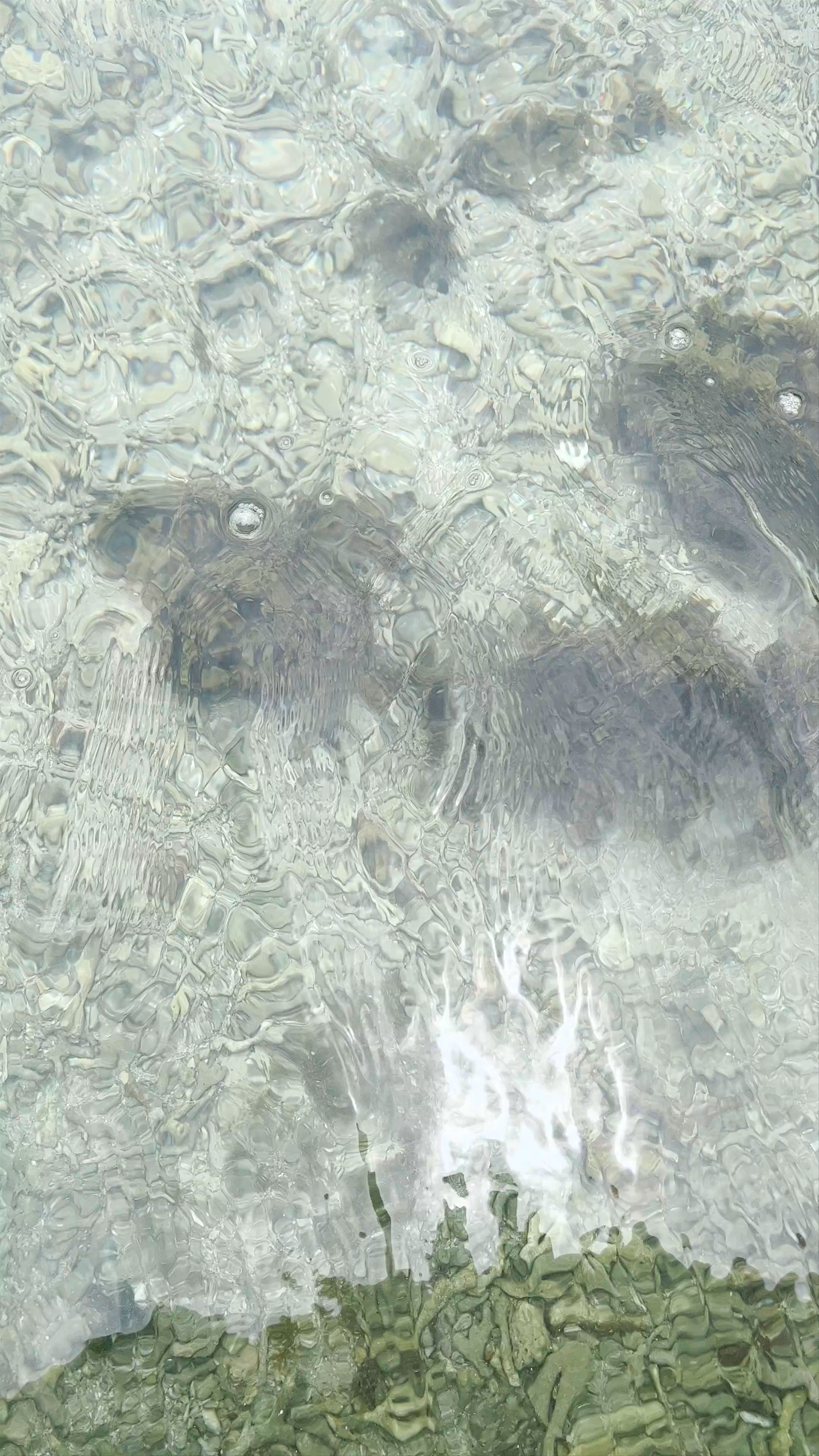 Crystal Clear Waters and Marine Life at Parque Nacional Cahuita Sector Puerto Vargas, Costa Rica