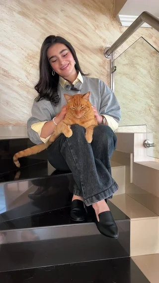 Preview del contenido