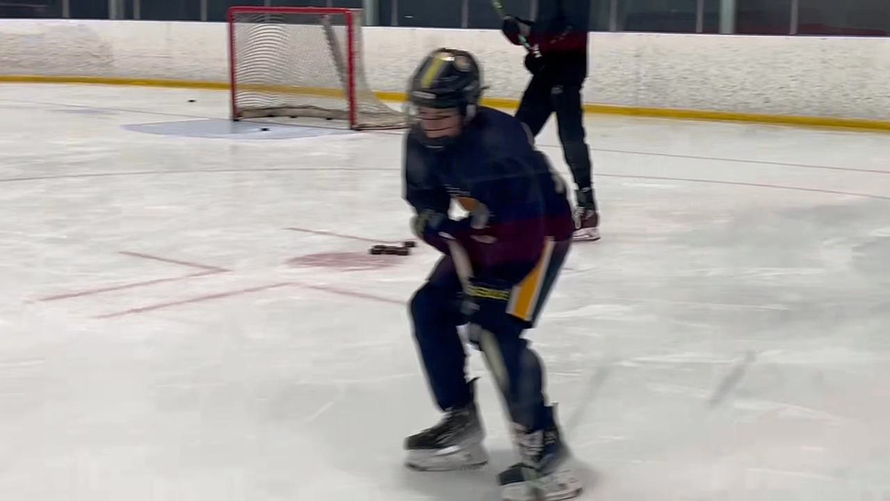 Eli Wizda: Elite Hockey Academy 14U AAA Training Highlights