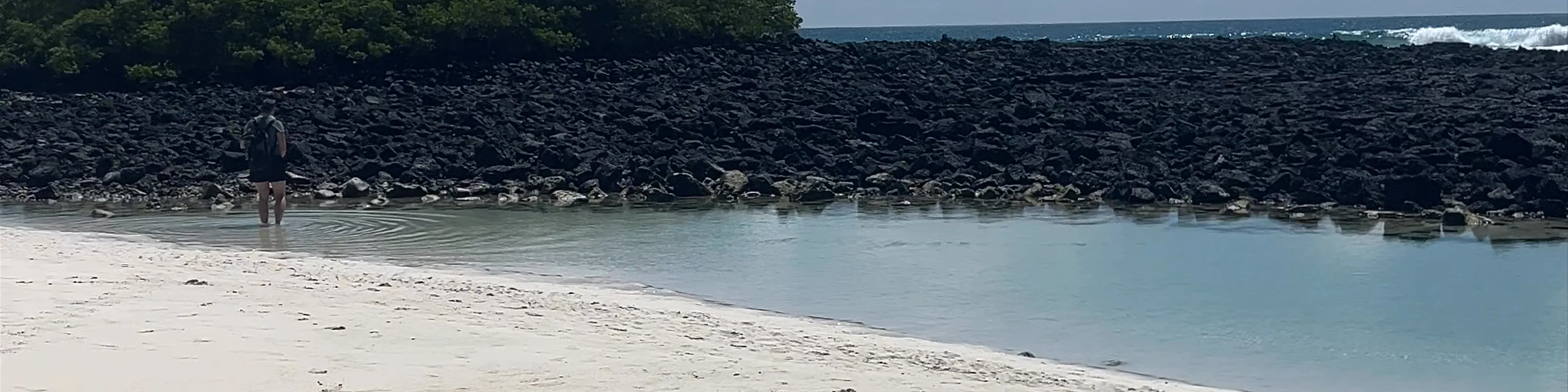 Playa Tortuga Bay - Playa Brava