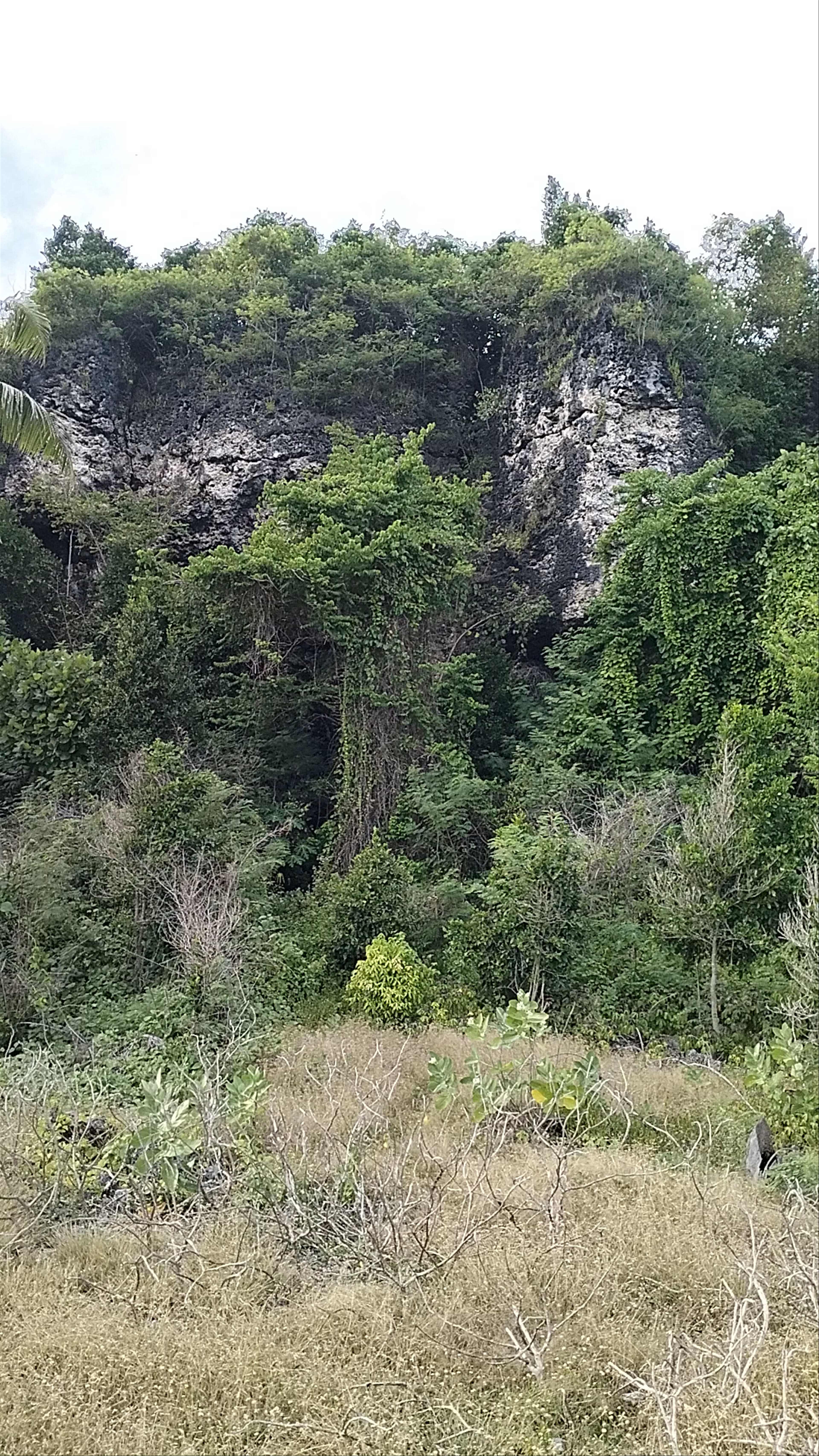 Lower cabangcalan sanctuary