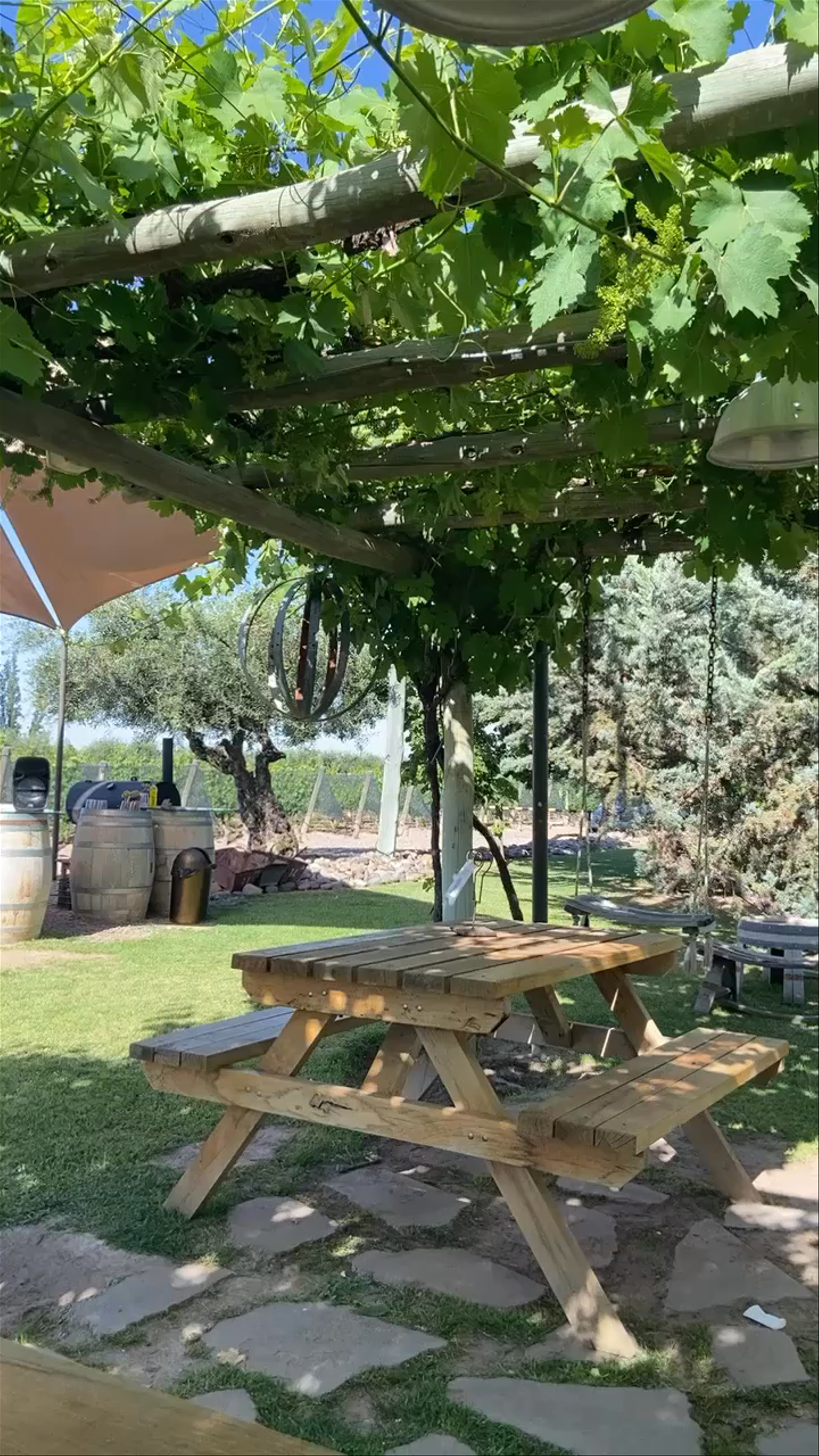Tempus Alba Vineyard Experience in Maipú, Mendoza