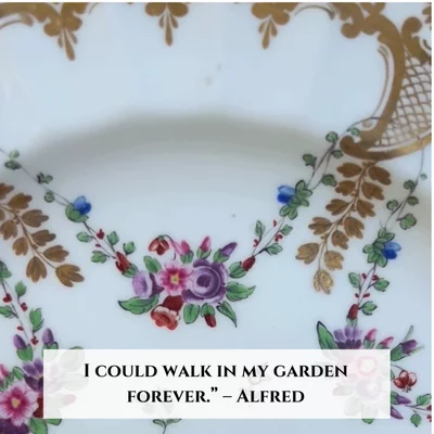 Preview image for video