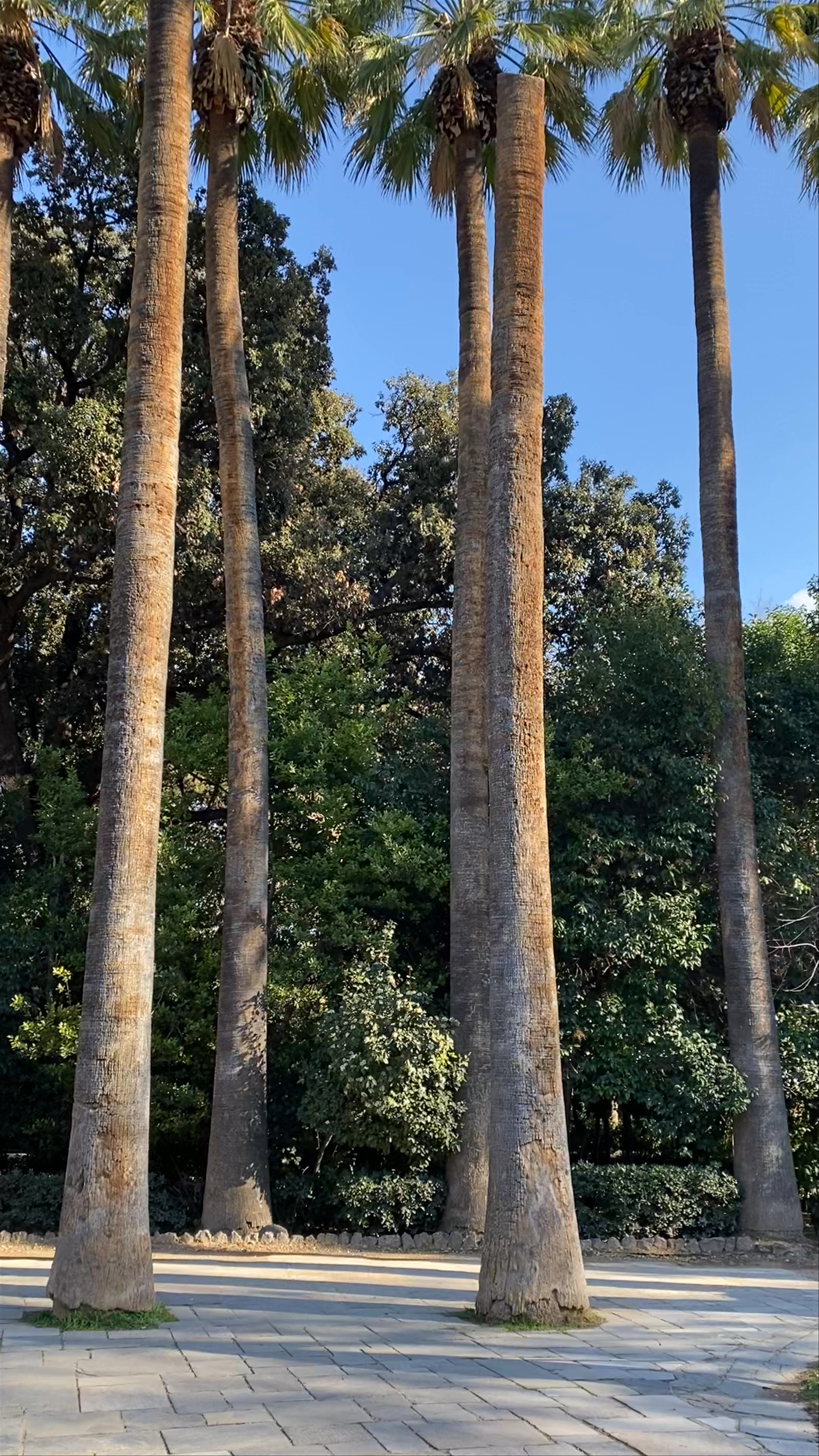 Athens National Garden