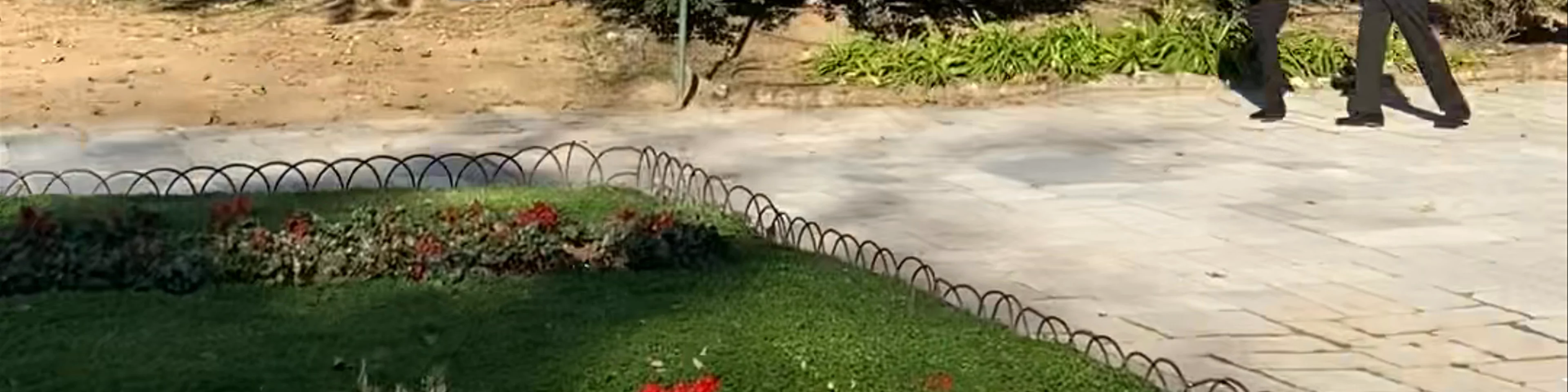 Athens National Garden