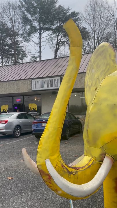 The Yellowphant Cafe - Salad Near Me - Blue Ridge, Georgia